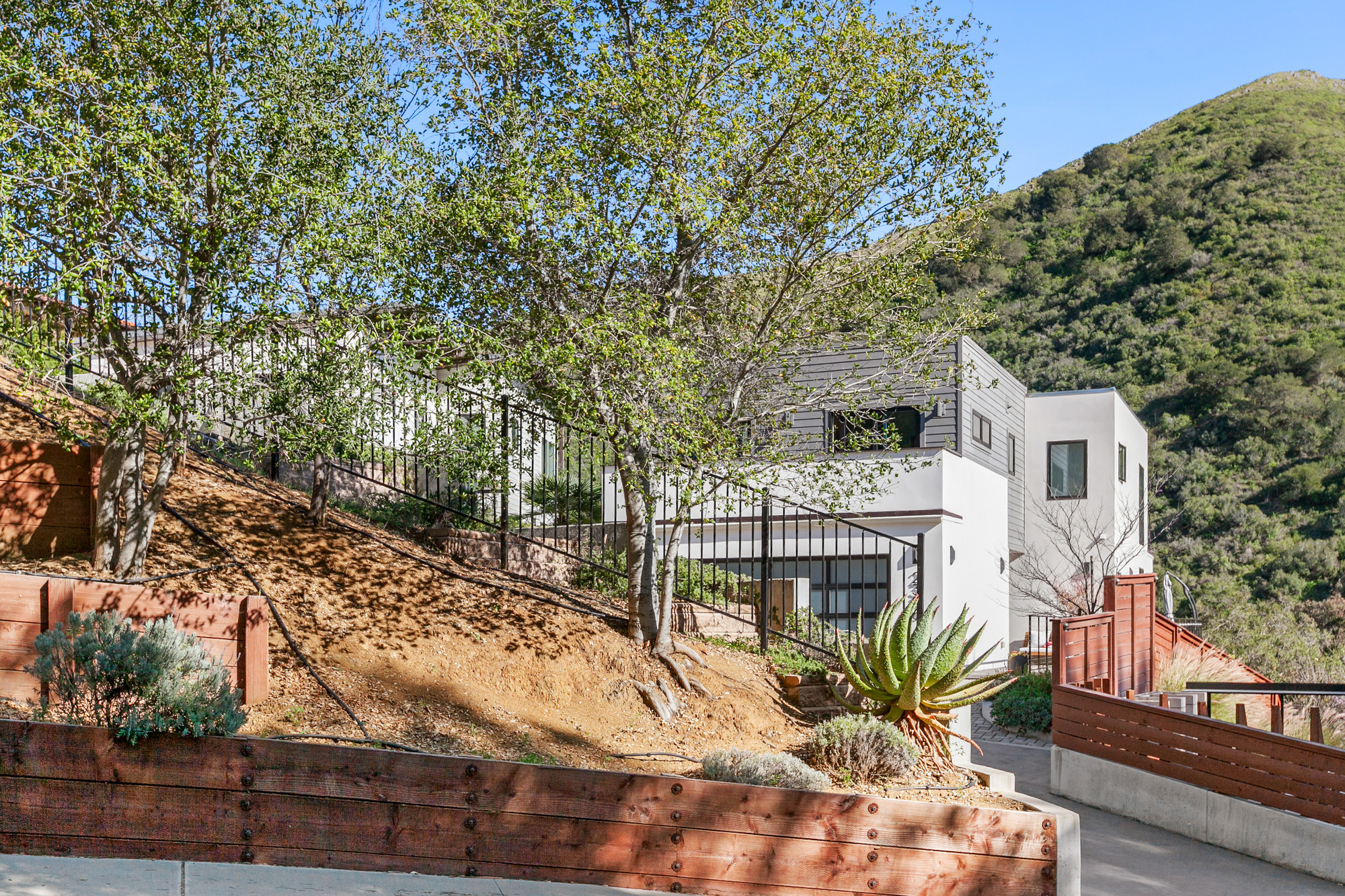  Elevated Contemporary Living in San Luis Obispo - 物件實景