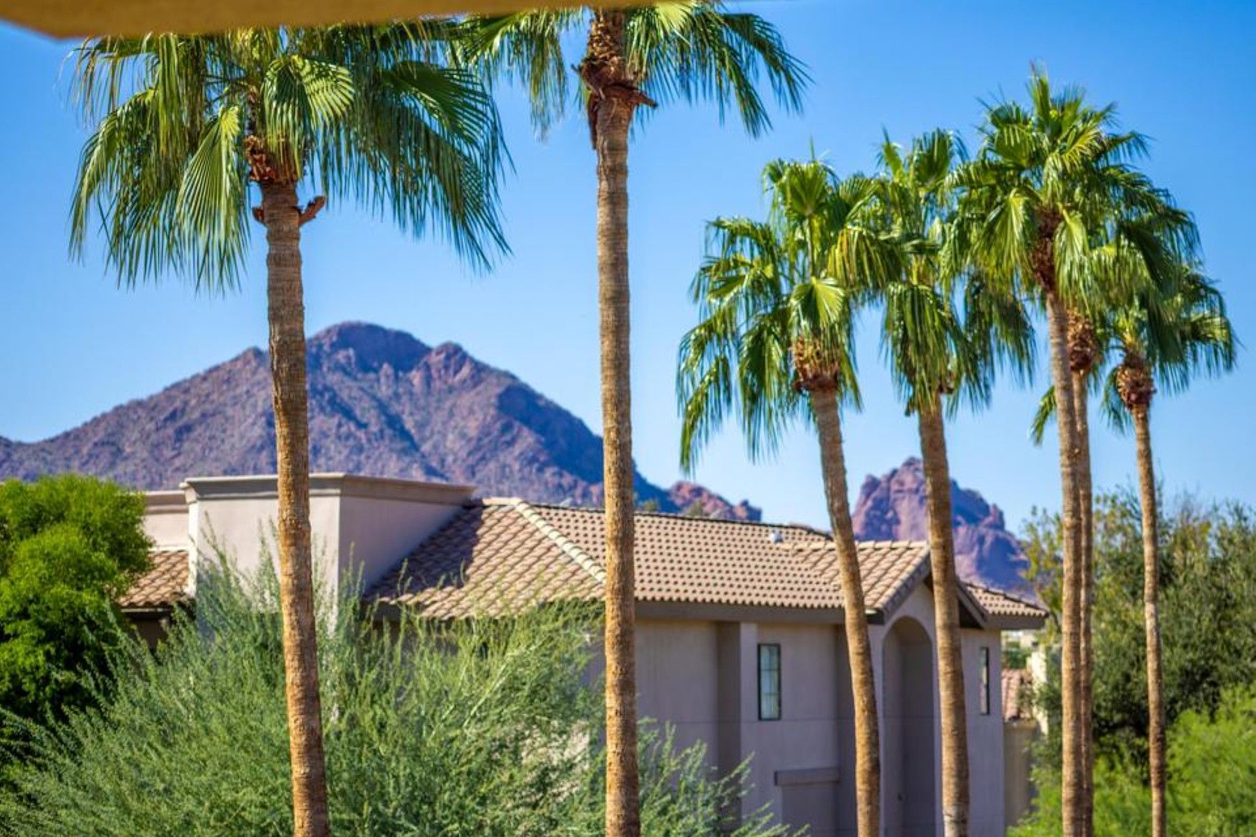  7601 E Indian Bend Road¦Scottsdale, AZ - 物件實景