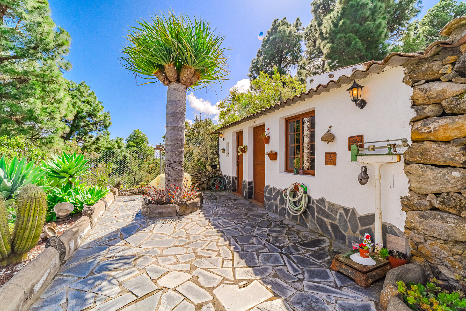  Rustic farmhouse in Icod de los Vinos, Tenerife - 物件實景
