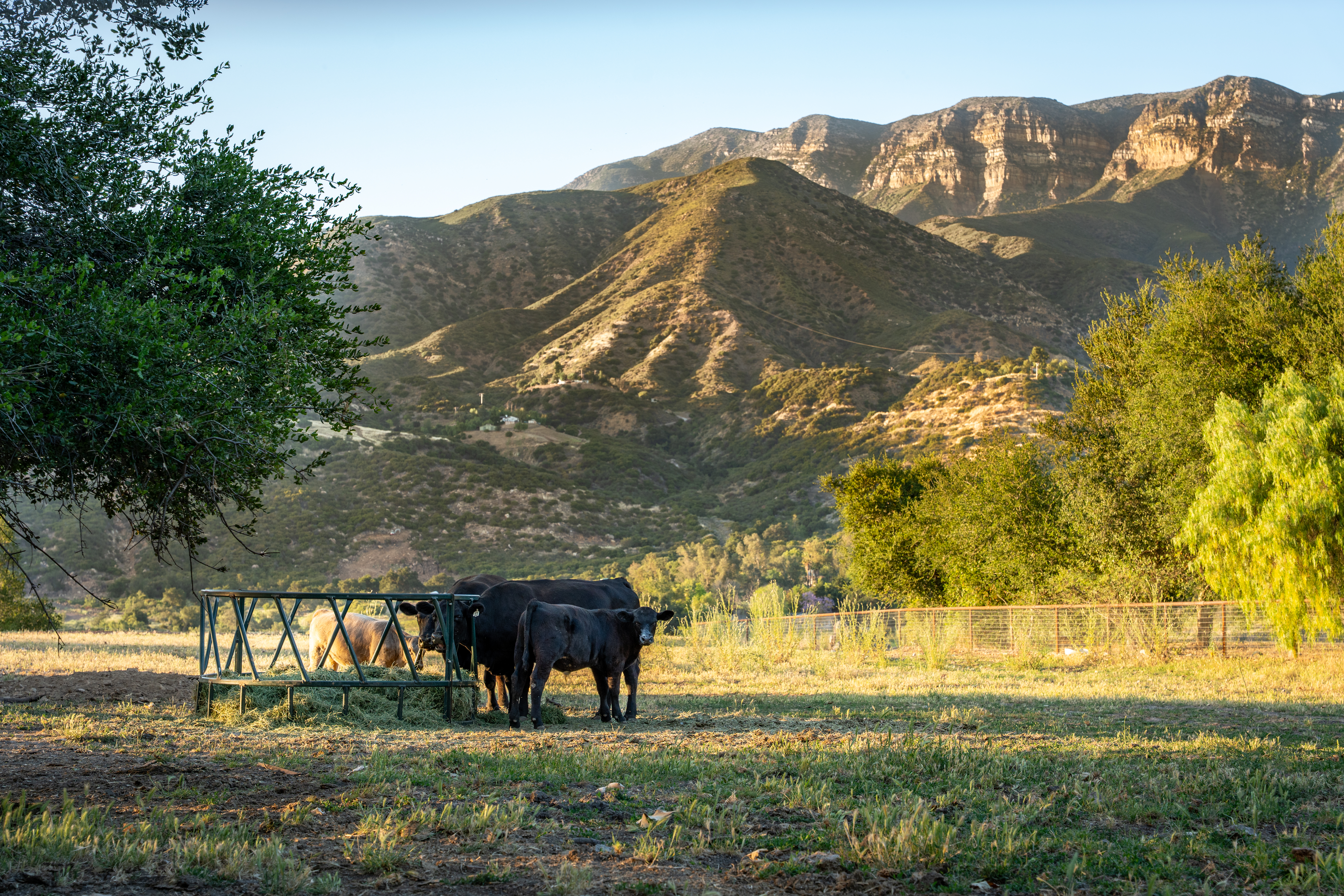  13100 Ojai Santa Paula Road, Santa Paula, CA 93060 - 物件實景