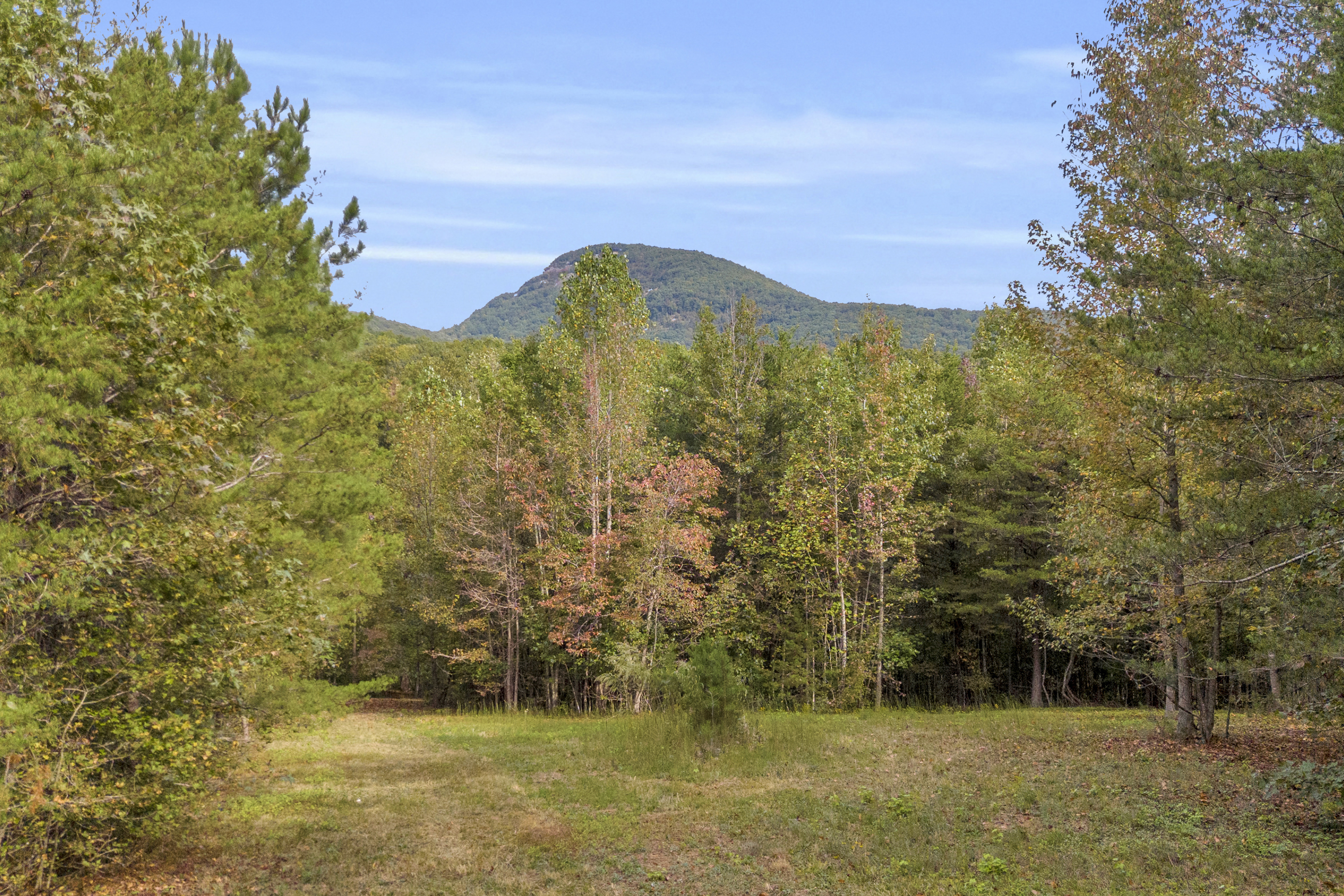 Cleveland, Georgia, 30528, United States, 3 Bedrooms Bedrooms, ,2 BathroomsBathrooms,Residential,For Sale,1979350