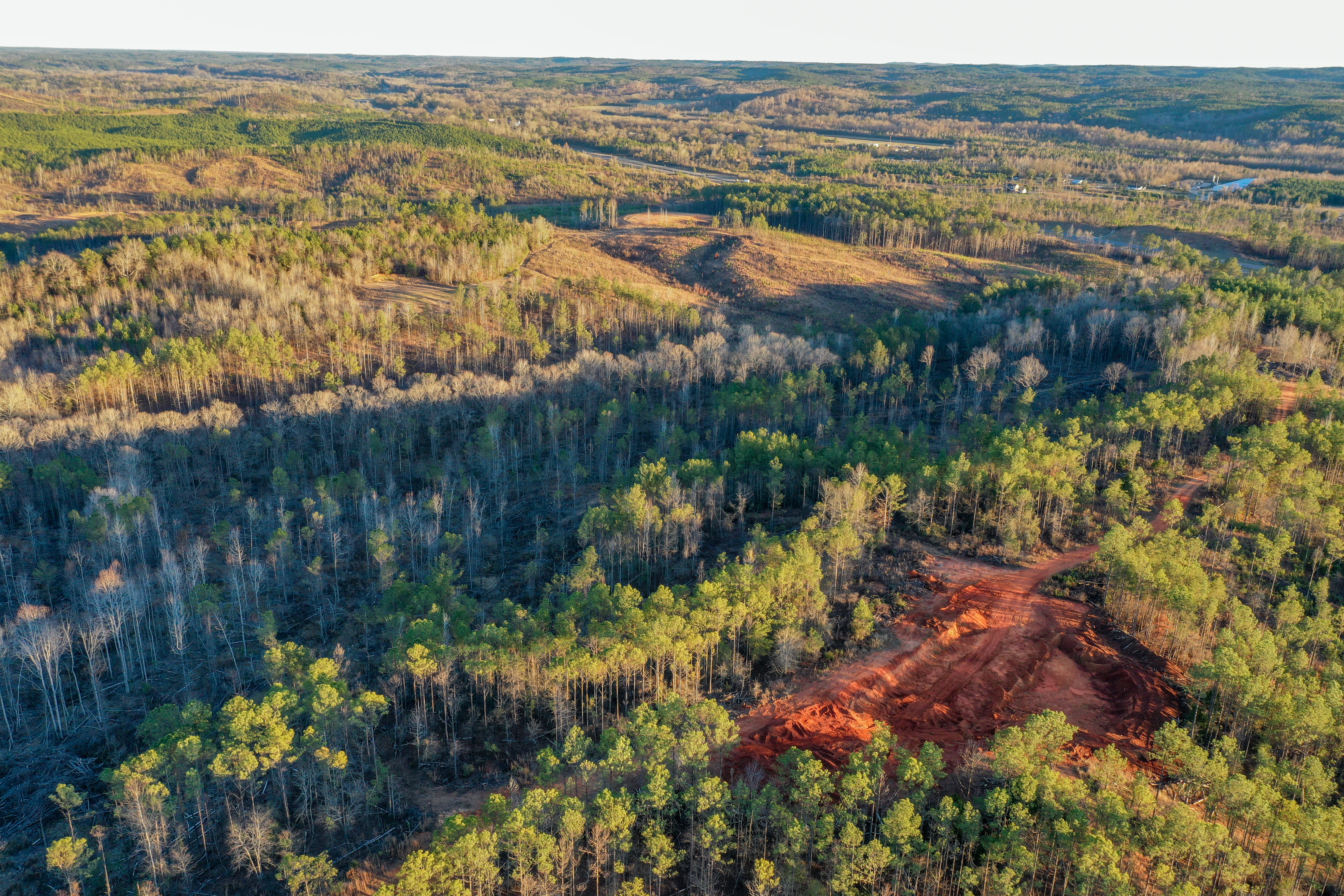 Centreville, Alabama, 35042, United States, ,Land,For Sale,2010430