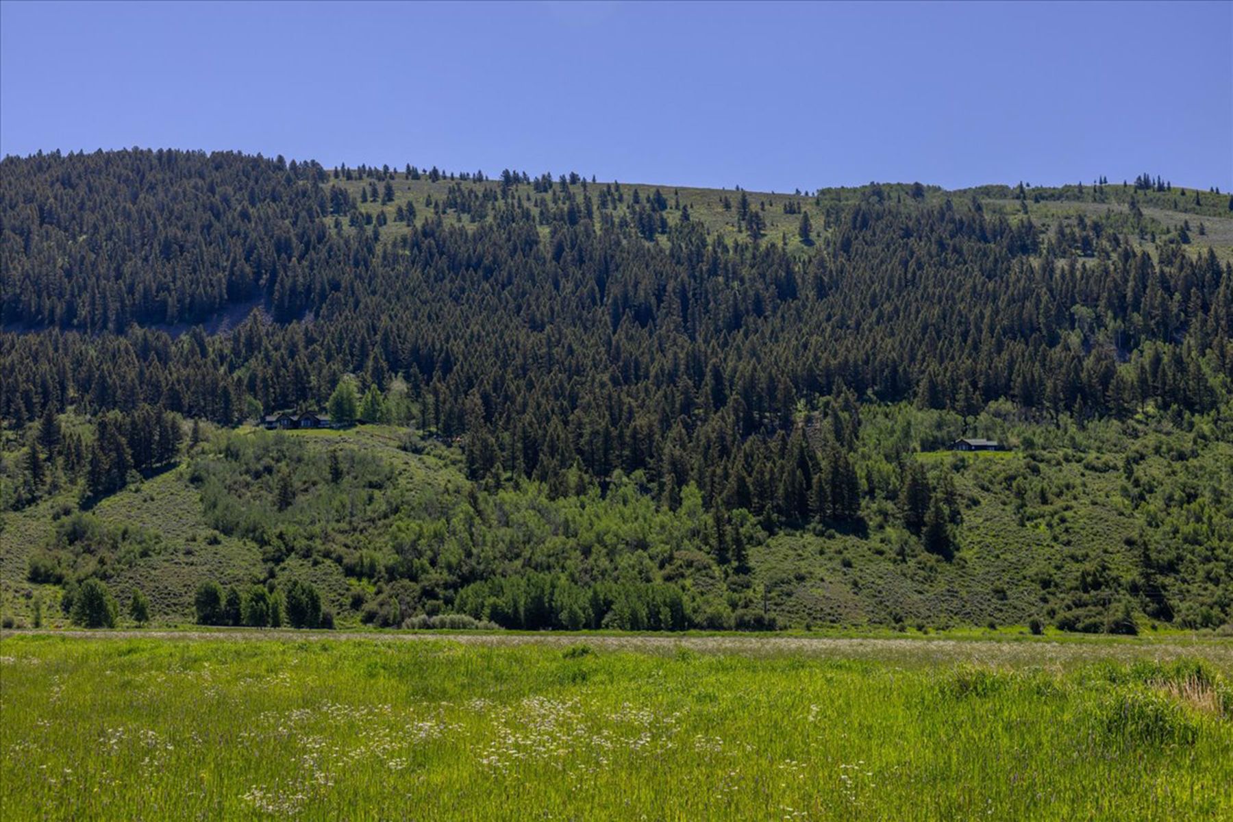  The Mead Ranch - 物件實景