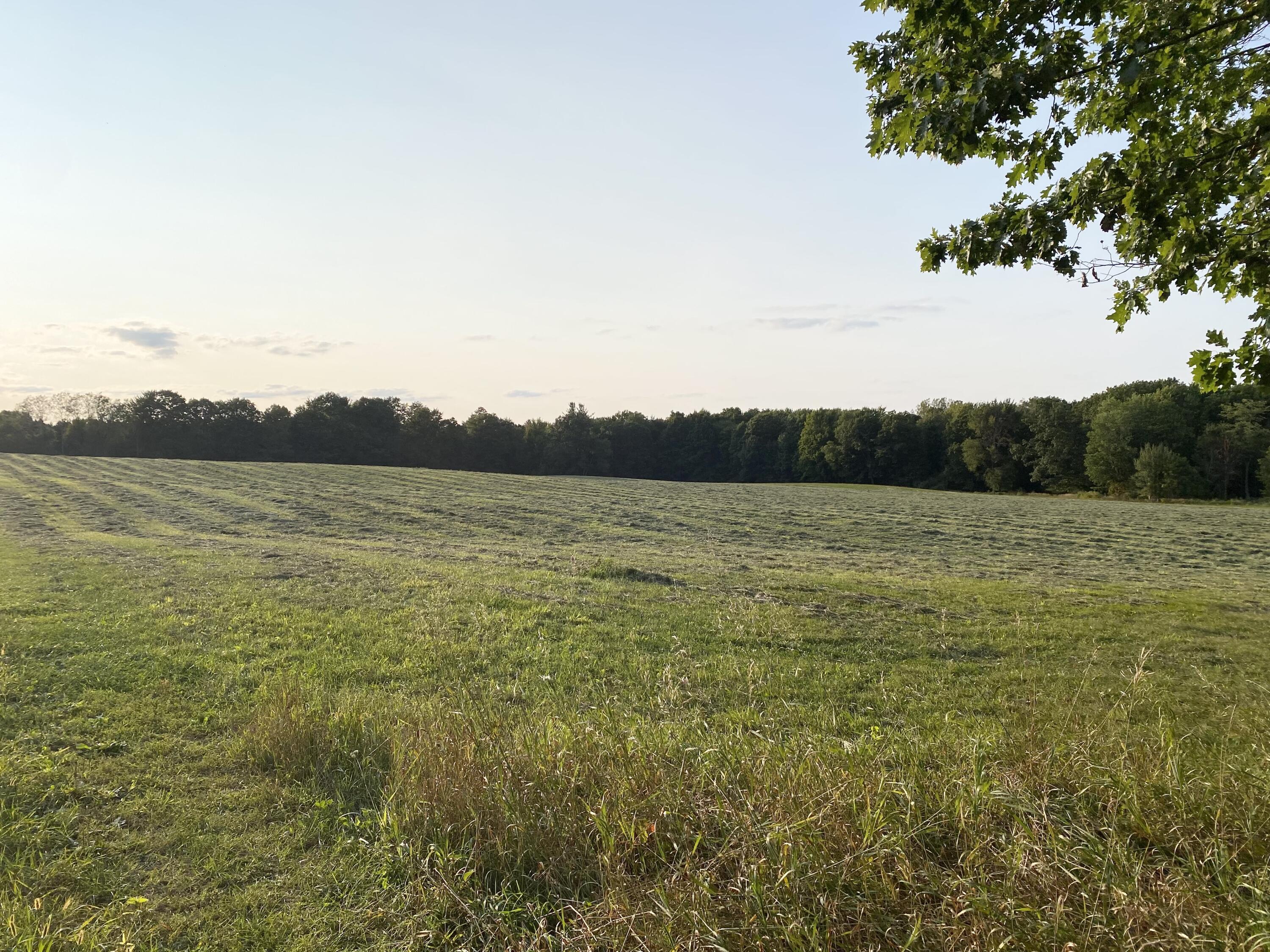 Lakeview, Michigan, 48850, United States, ,Land,For Sale,1942163