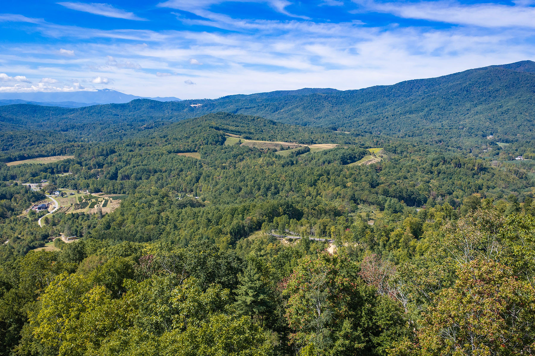  SPRUCE PINE - SUMMIT VIEW - 物件實景