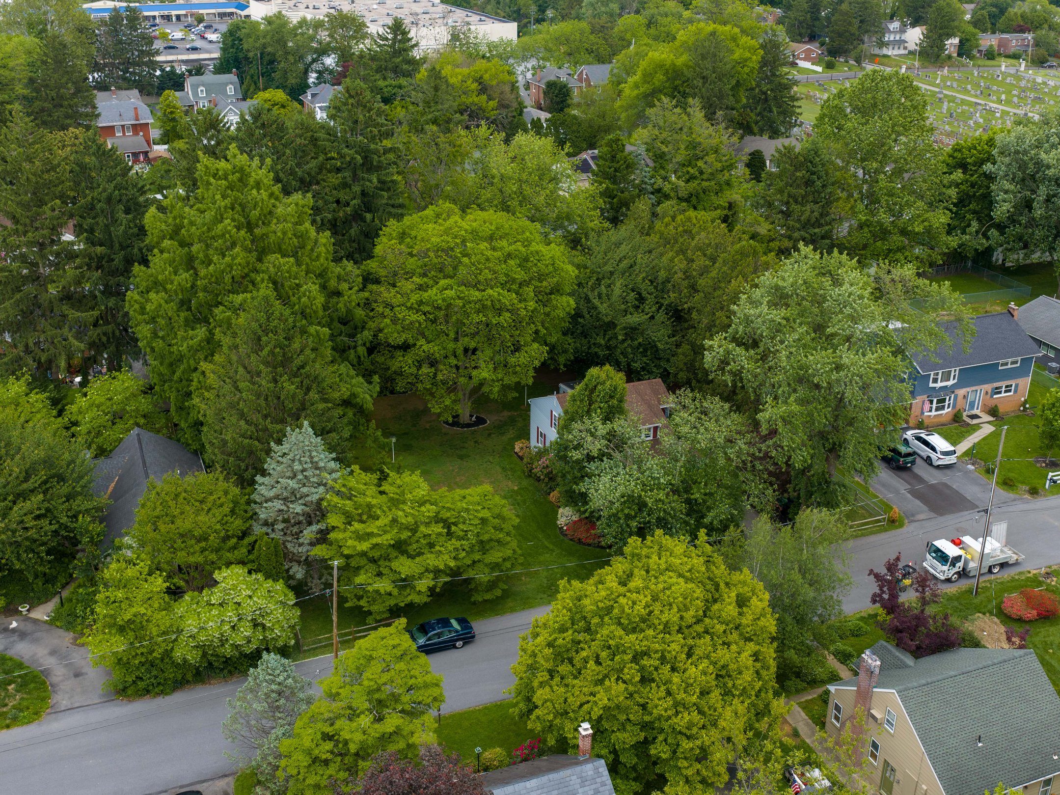  115 Grandview Ave - 物件實景