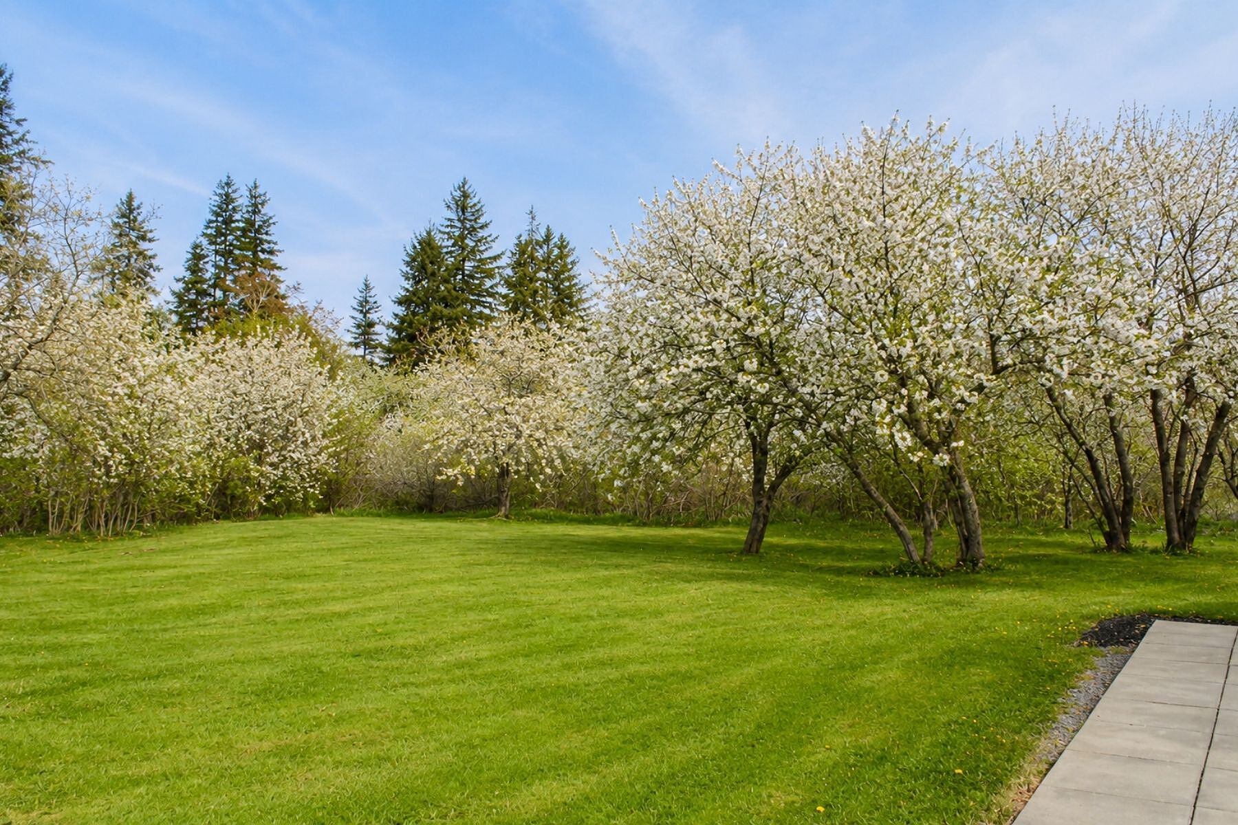 South West Margaree, - 物件實景