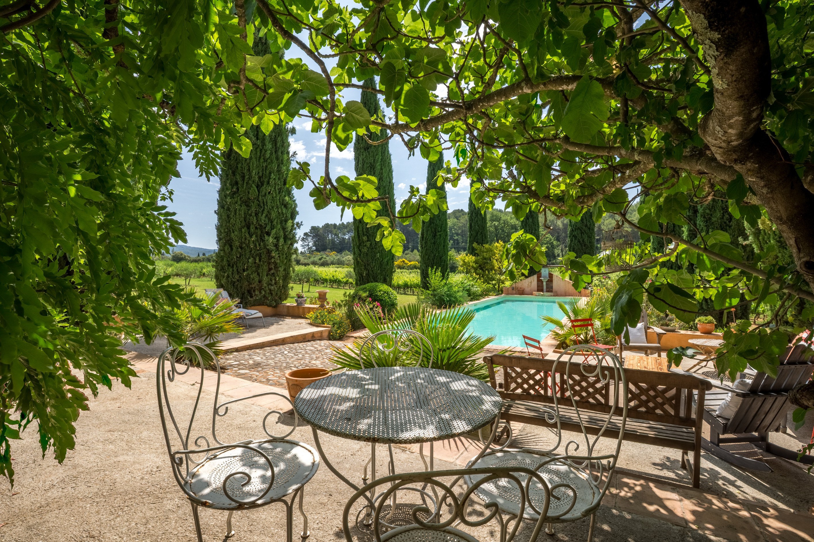 Charming Wine Estate in the Heart of Provence - 物件實景