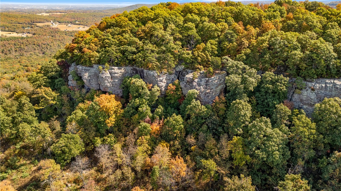 Harrison, Arkansas, 72601, United States, ,Land,For Sale,1903460