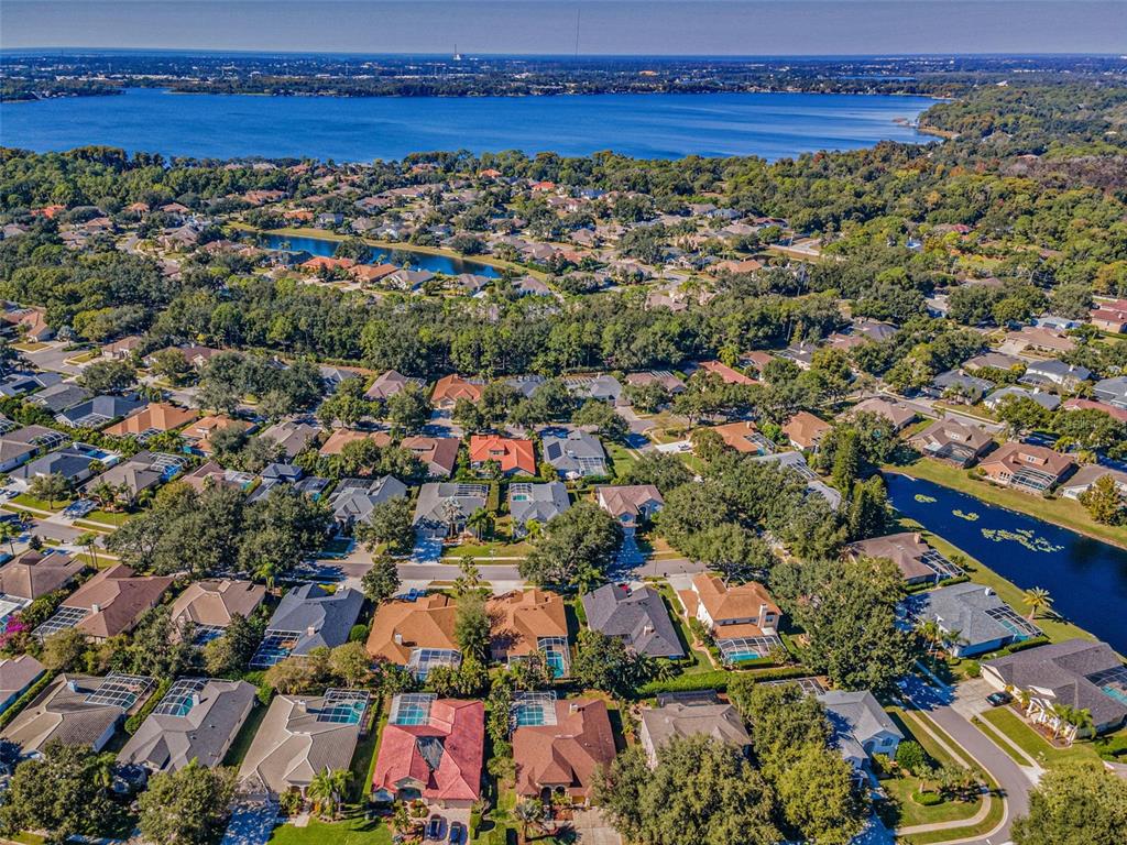 Palm Harbor, Florida, 34685, United States, 4 Bedrooms Bedrooms, ,3 BathroomsBathrooms,Residential,For Sale,1987675