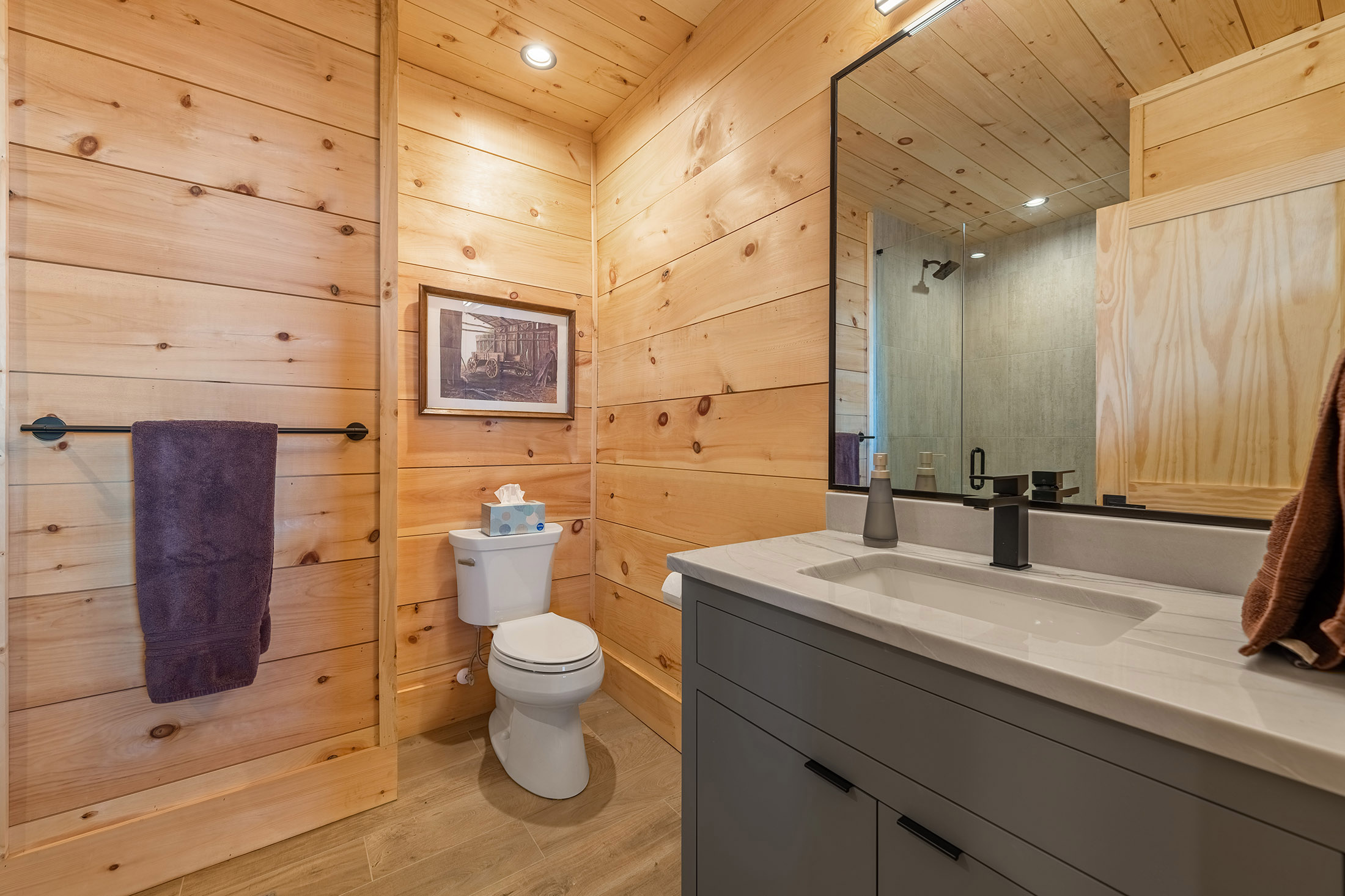  Contemporary Architectural Estate Overlooking Blue Ridge Lake - 物件實景