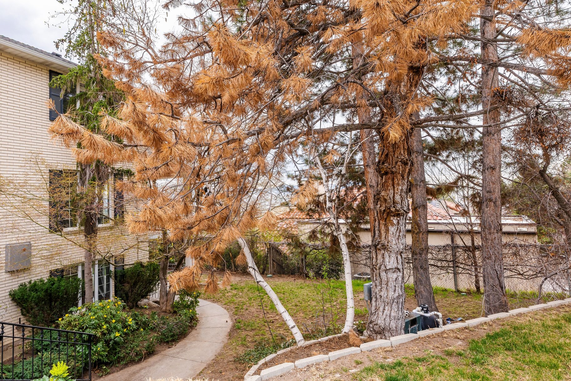  FEDERAL HEIGHTS CIRCLE SOUTHERN COLONIAL - 0.72 ACRE, AMAZING VIEWS - 物件實景