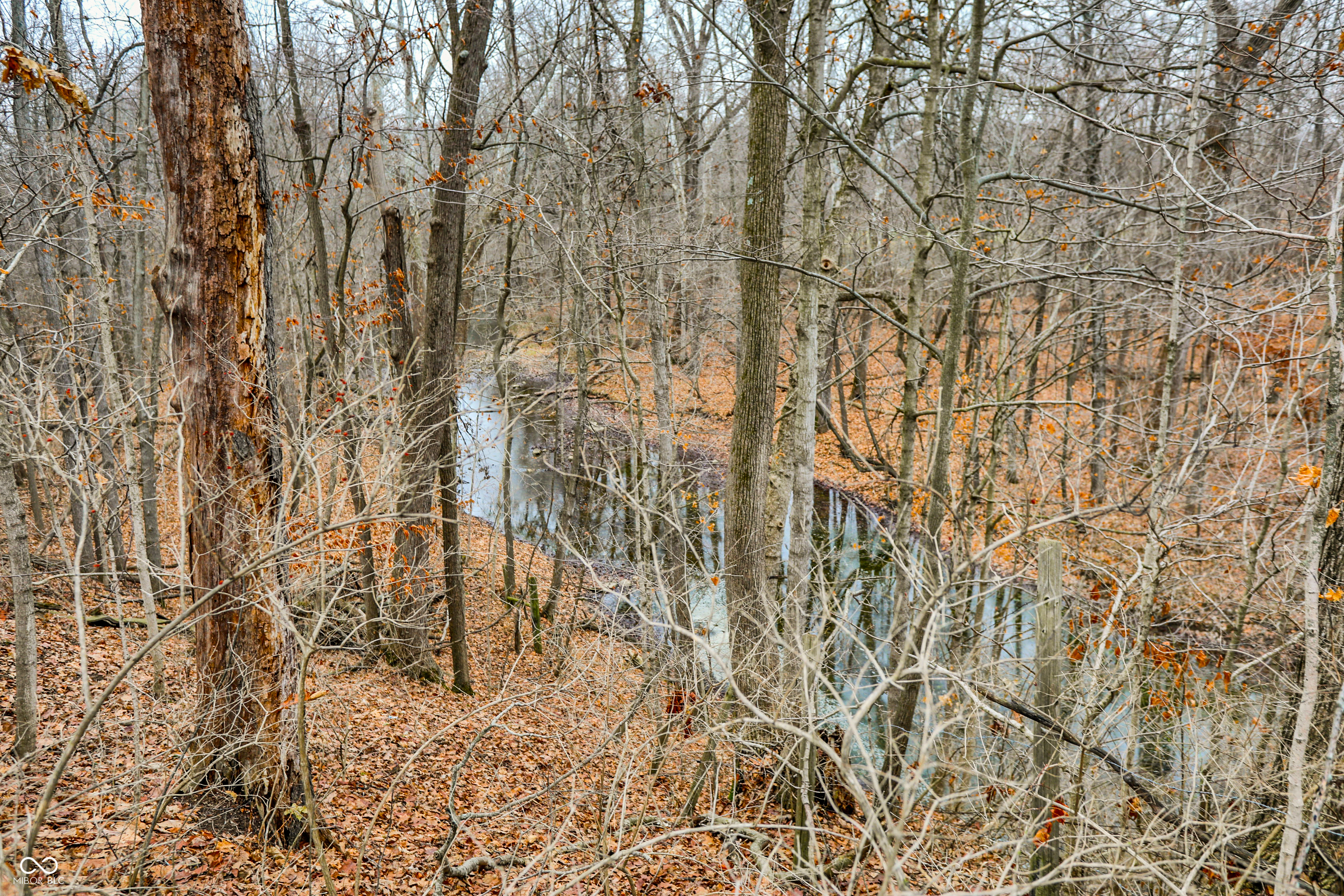 Arcadia, Indiana, 46030, United States, ,Residential,For Sale,2009642