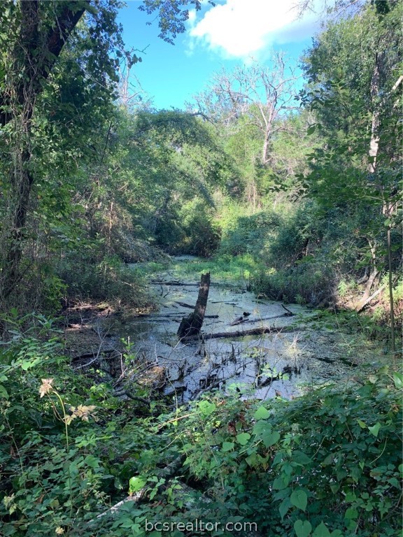 5632 County Road 317, Caldwell, Texas, 77836, United States, ,Land,For Sale,5632 County Road 317,1609859
