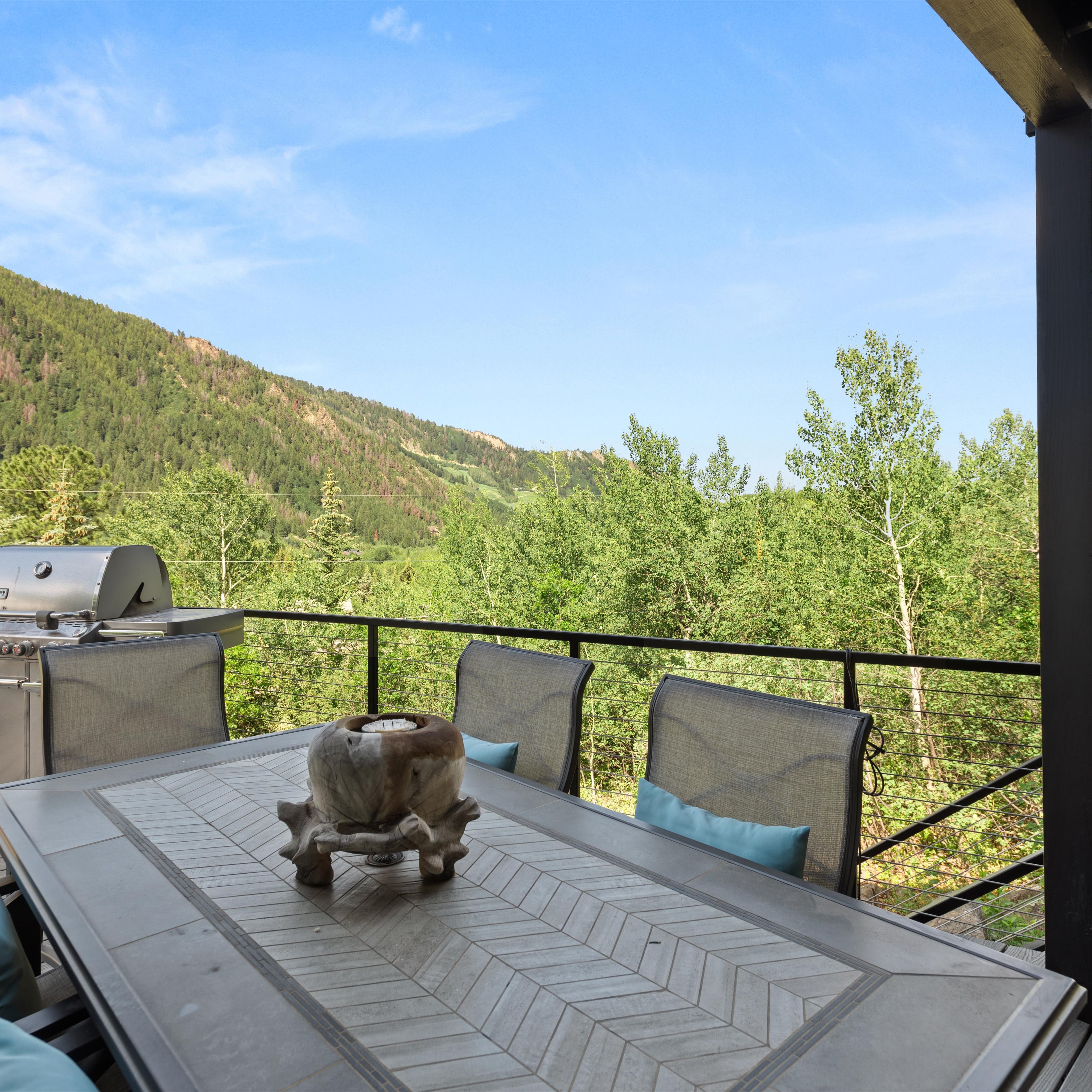  257 Mountain Laurel Drive, Aspen, CO, 81611 - 物件實景