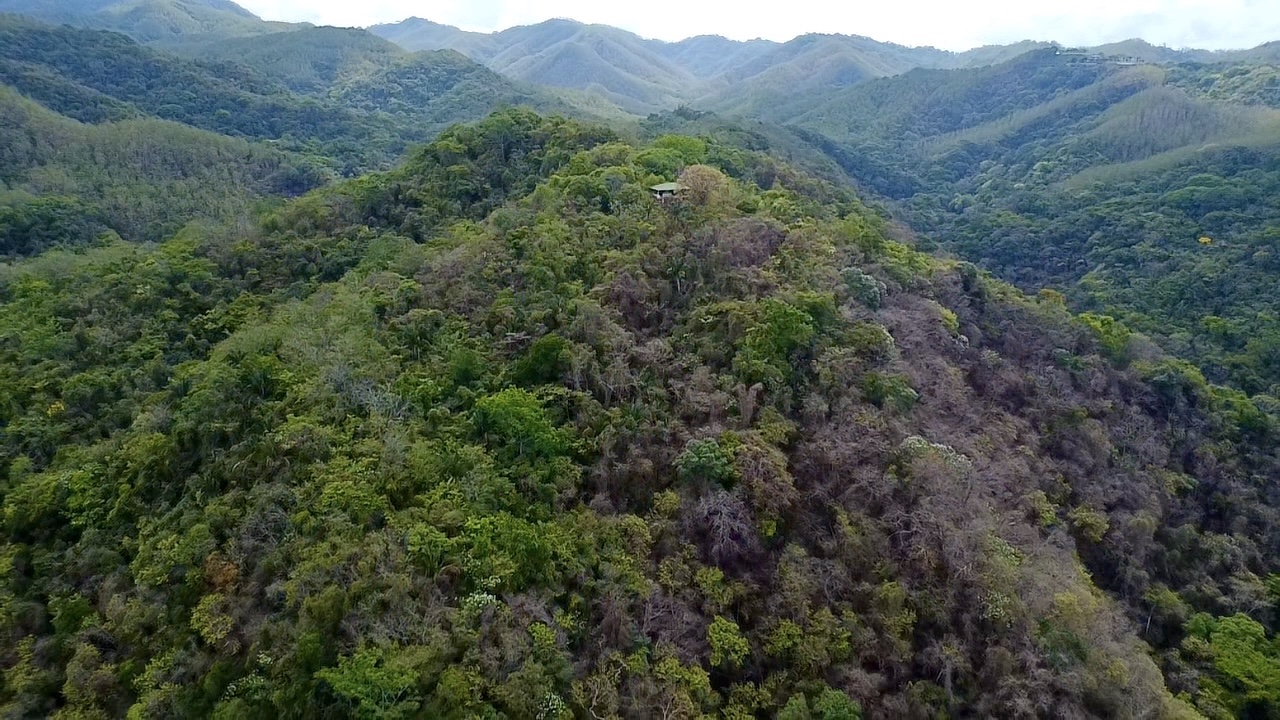 Samara, Guanacaste, CR, ,Land,For Sale,1838458