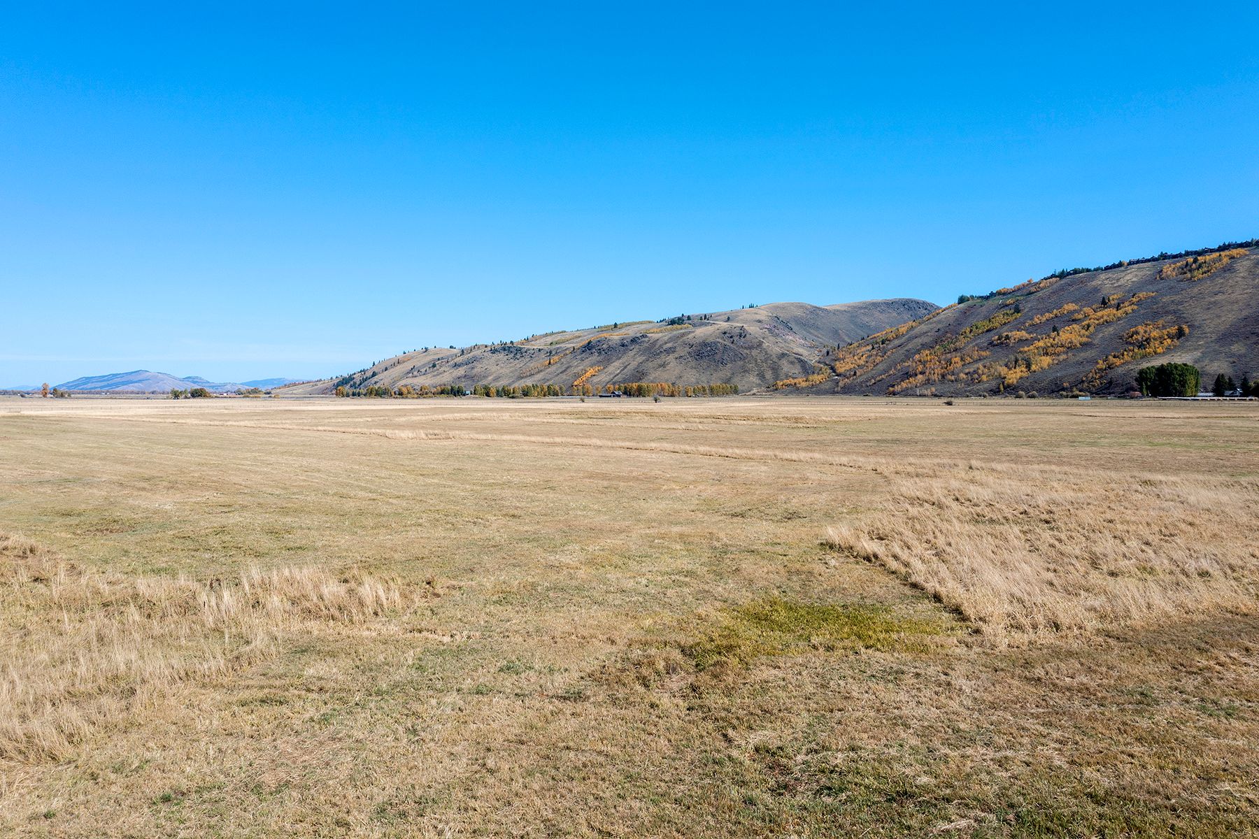  Spring Gulch Ranch - 物件實景