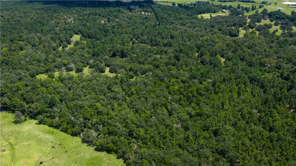 Midway, Texas, 75852, United States, 1 Bedroom Bedrooms, ,1 BathroomBathrooms,Residential,For Sale,1957289