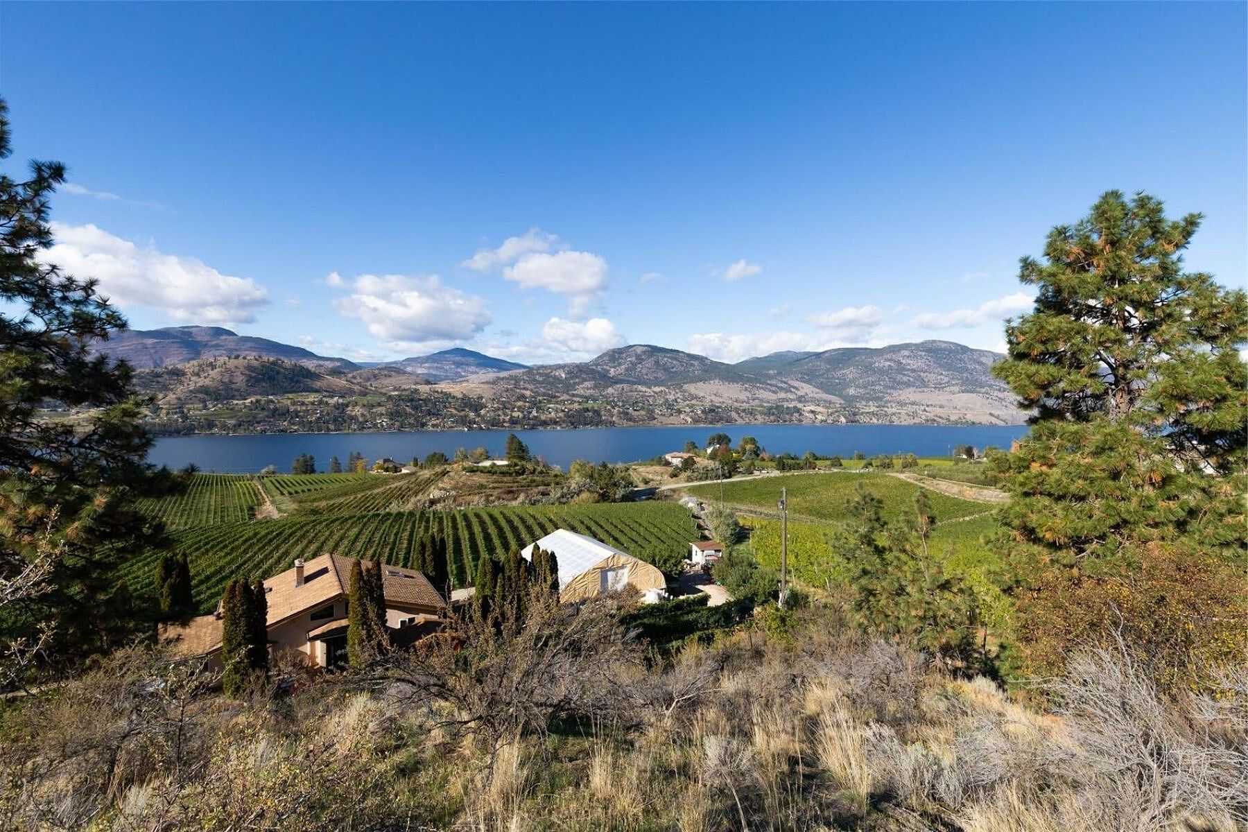  Boutique Okanagan Winery - 物件實景
