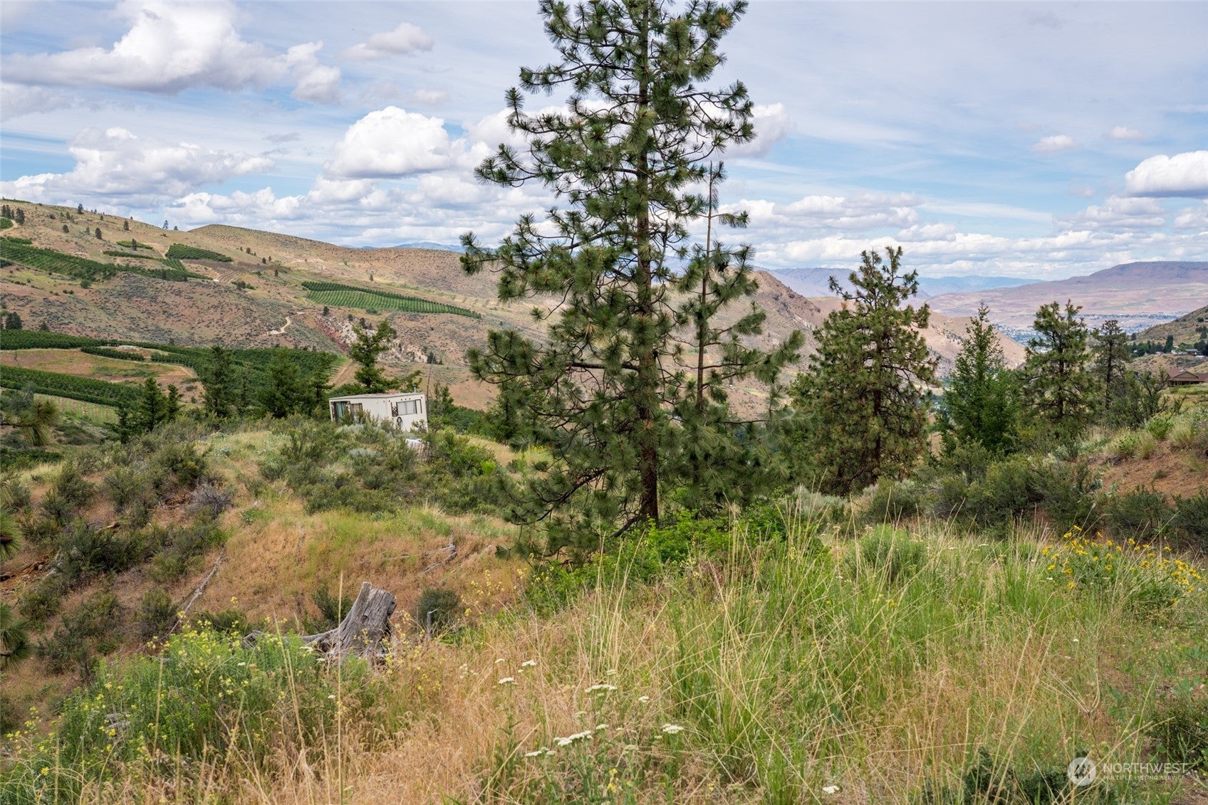 Wenatchee, Washington, 98801, United States, ,Land,For Sale,1690373