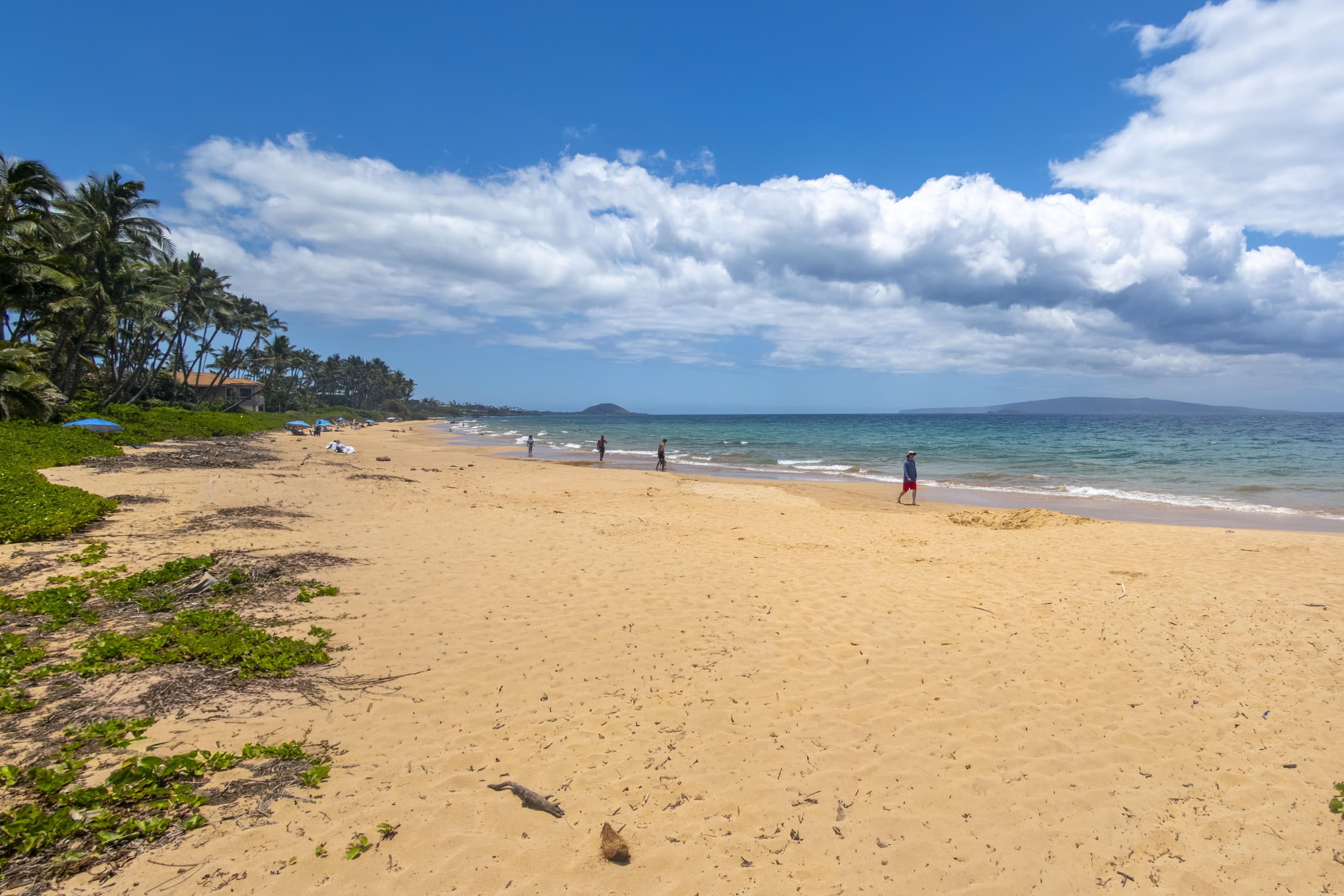 Serene beach front two bedroom two bath vacation rental condo - 物件實景