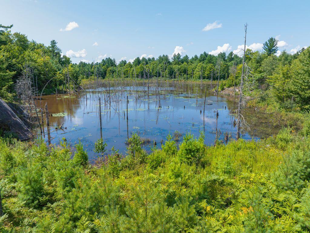 Gouverneur, New York, 13642, United States, 1 Bedroom Bedrooms, ,1 BathroomBathrooms,Residential,For Sale,1911047