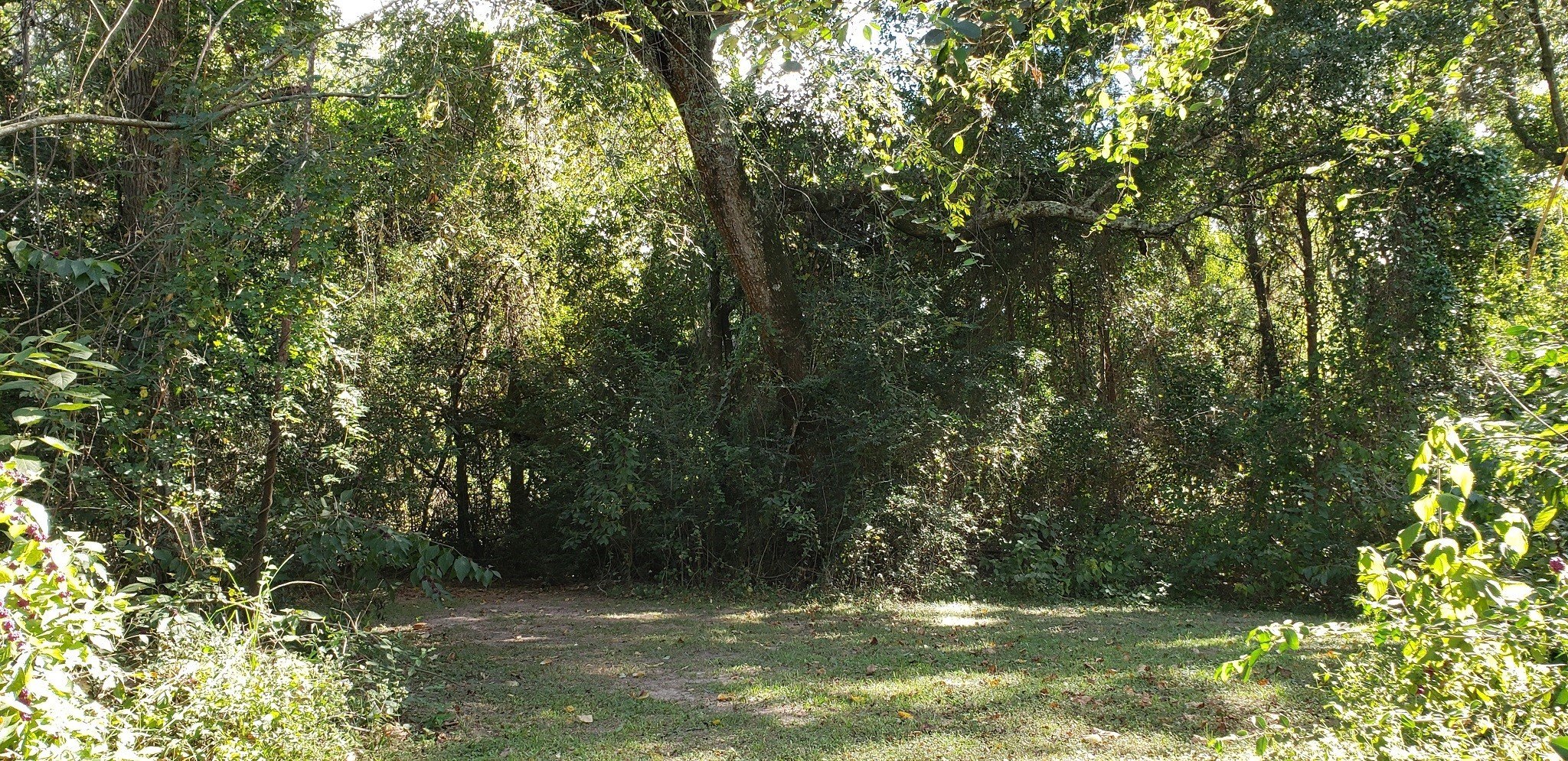 Hockley, Texas, 77447, United States, 2 Bedrooms Bedrooms, ,1 BathroomBathrooms,Residential,For Sale,1974890