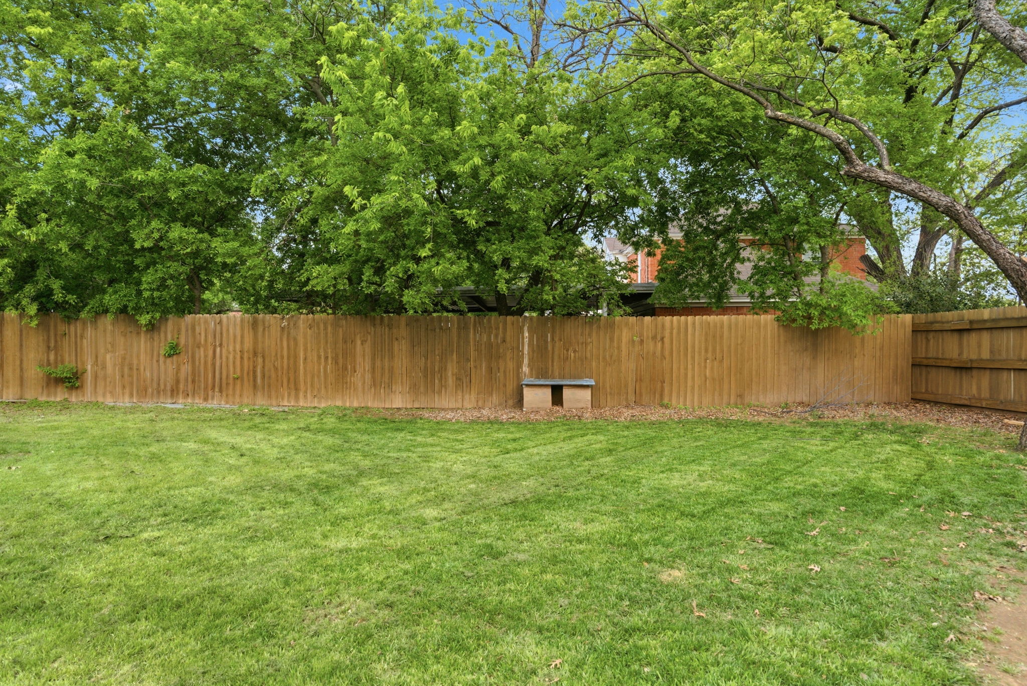  909 3rd Street, Graham, TX, 76450 - 物件實景