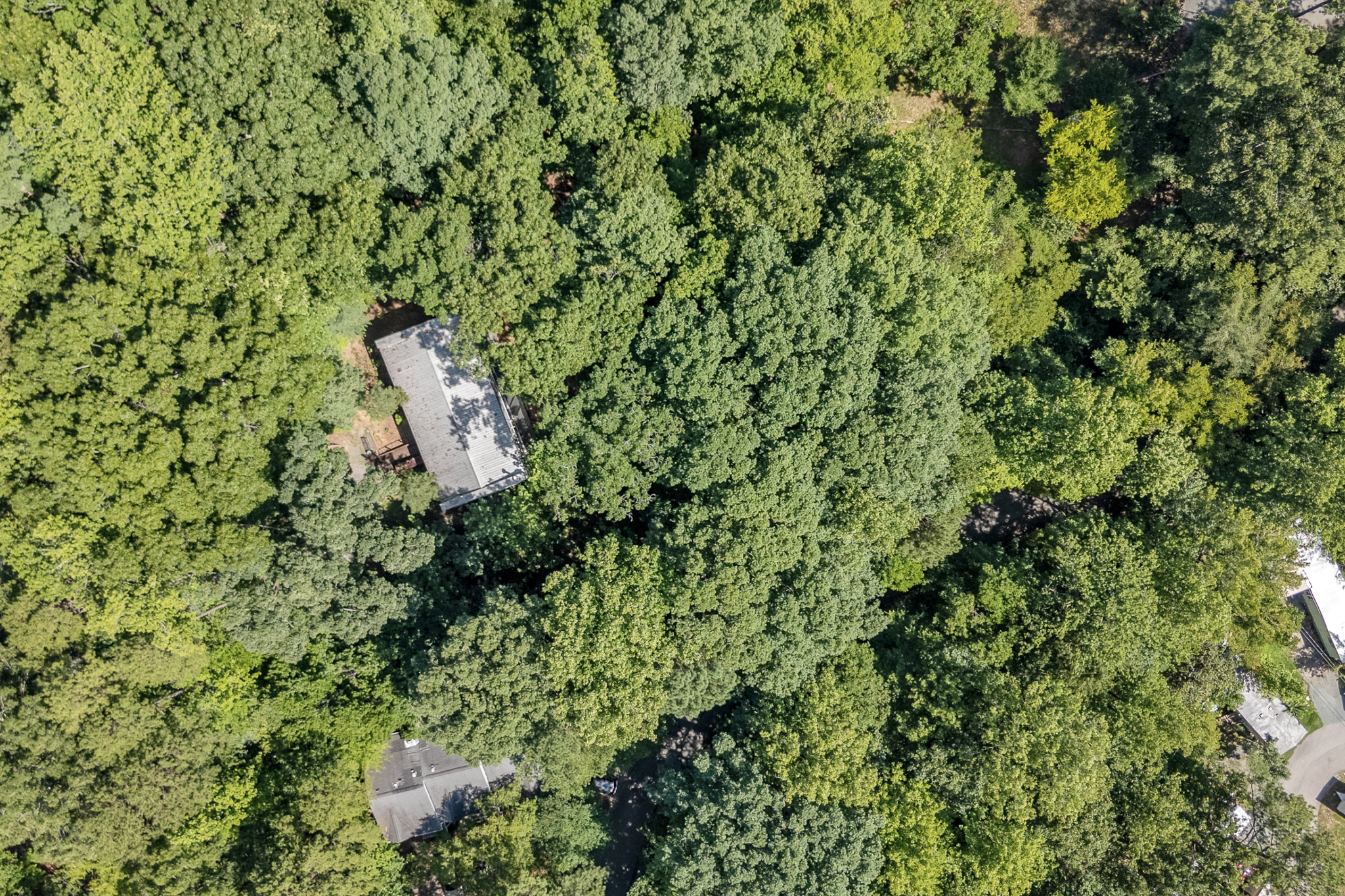  106 Glass House Lane, Carrboro, NC 27510 - 物件實景