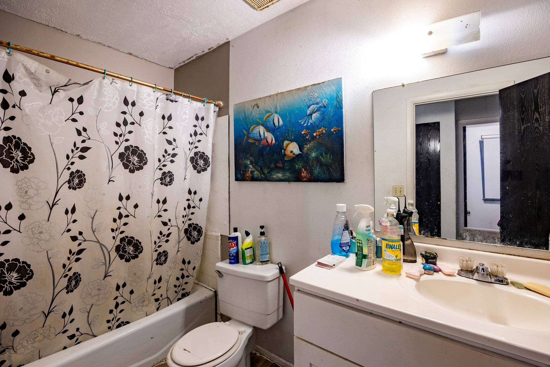  Turnkey Duplex Opportunity with Long-Term Tenant in Place - 物件實景