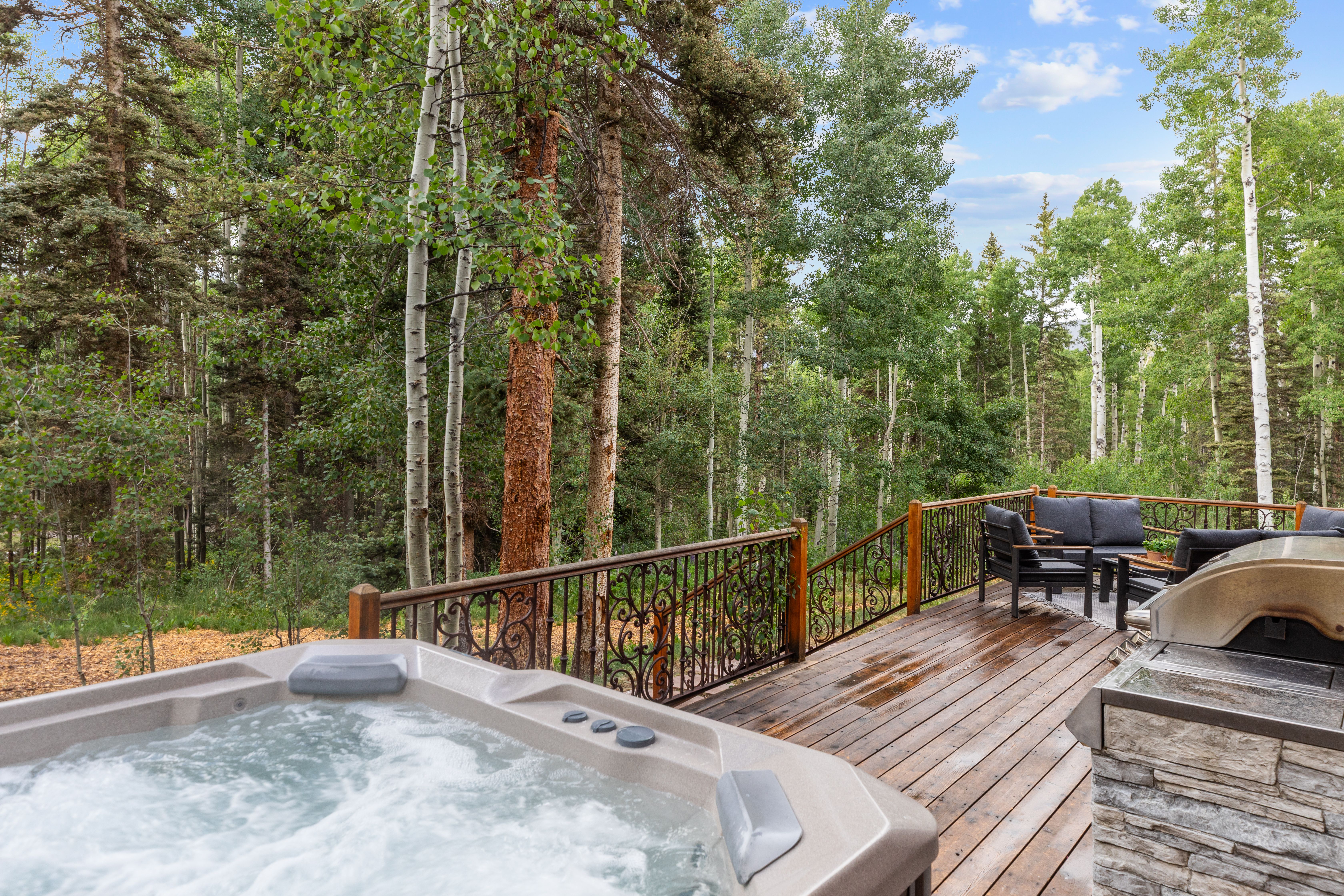  Rustic Western + Modern Telluride Home - 物件實景
