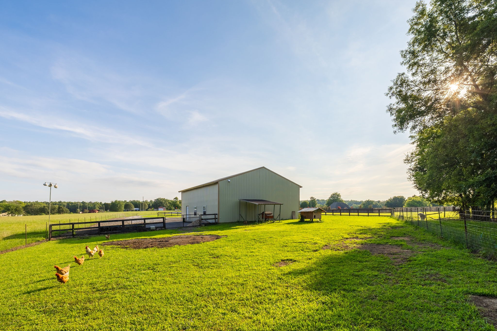  8445 Bradyville Pike, Murfreesboro, TN, 37127 - 物件實景