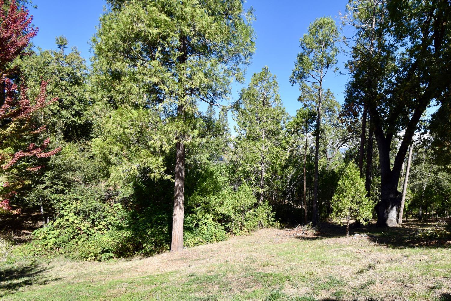 Oakhurst, California, 93644, United States, 4 Bedrooms Bedrooms, ,3 BathroomsBathrooms,Residential,For Sale,1984203