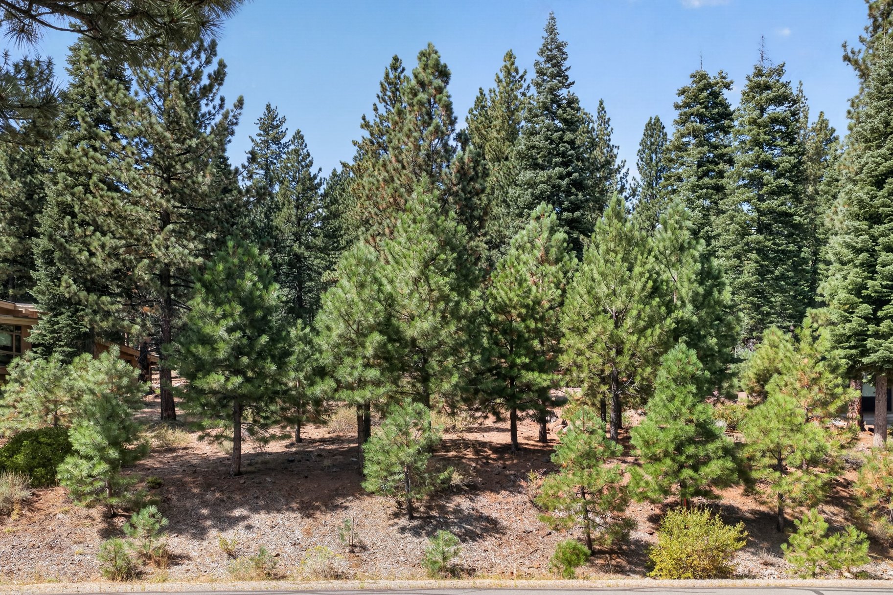  Half Acre, Privacy, and a Central Truckee Address - 物件實景