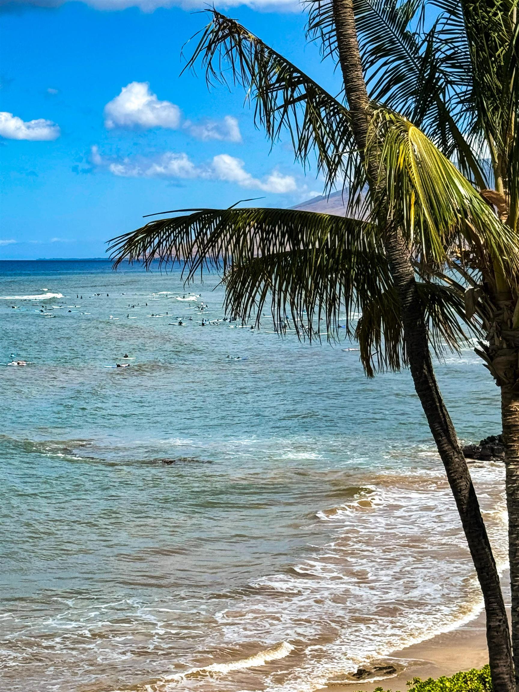 Kihei, Hawaii, 96753, United States, ,1 BathroomBathrooms,Residential,For Sale,1846527