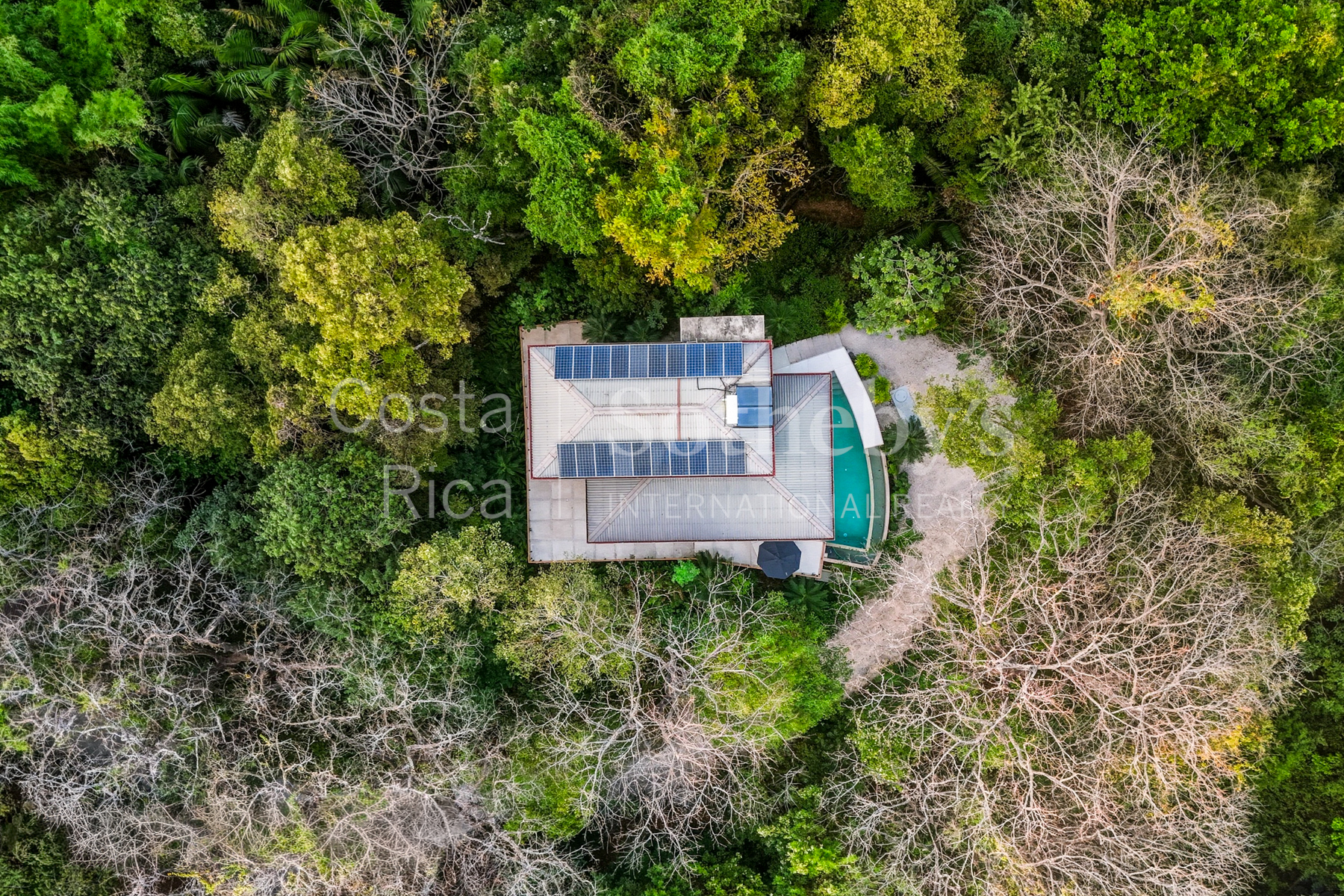  Casa Arbol - 物件實景