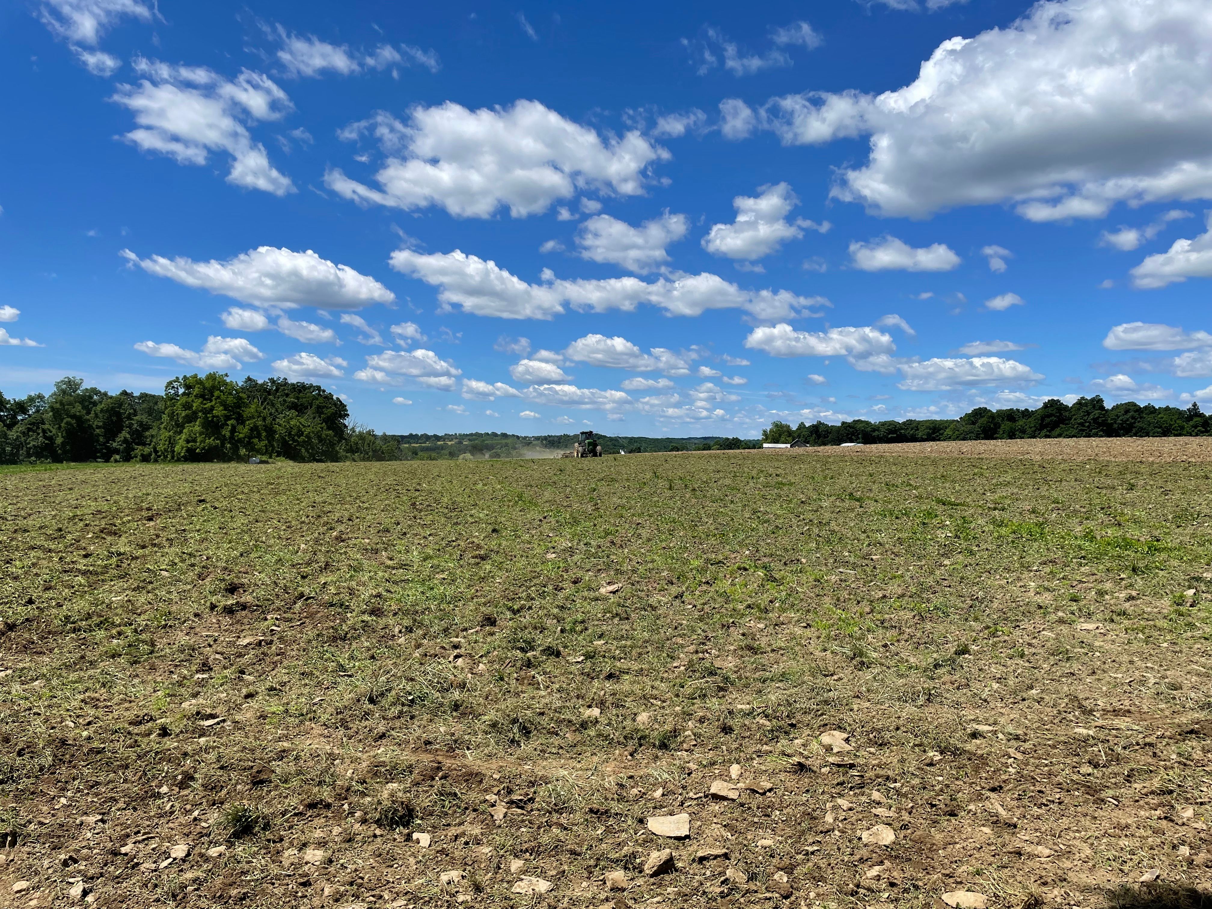  4099 Curly Hill Road, Doylestown, PA 18902 - 物件實景