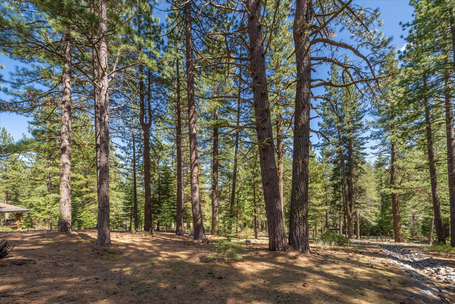 Truckee, California, 96161, United States, ,Land,For Sale,1828145