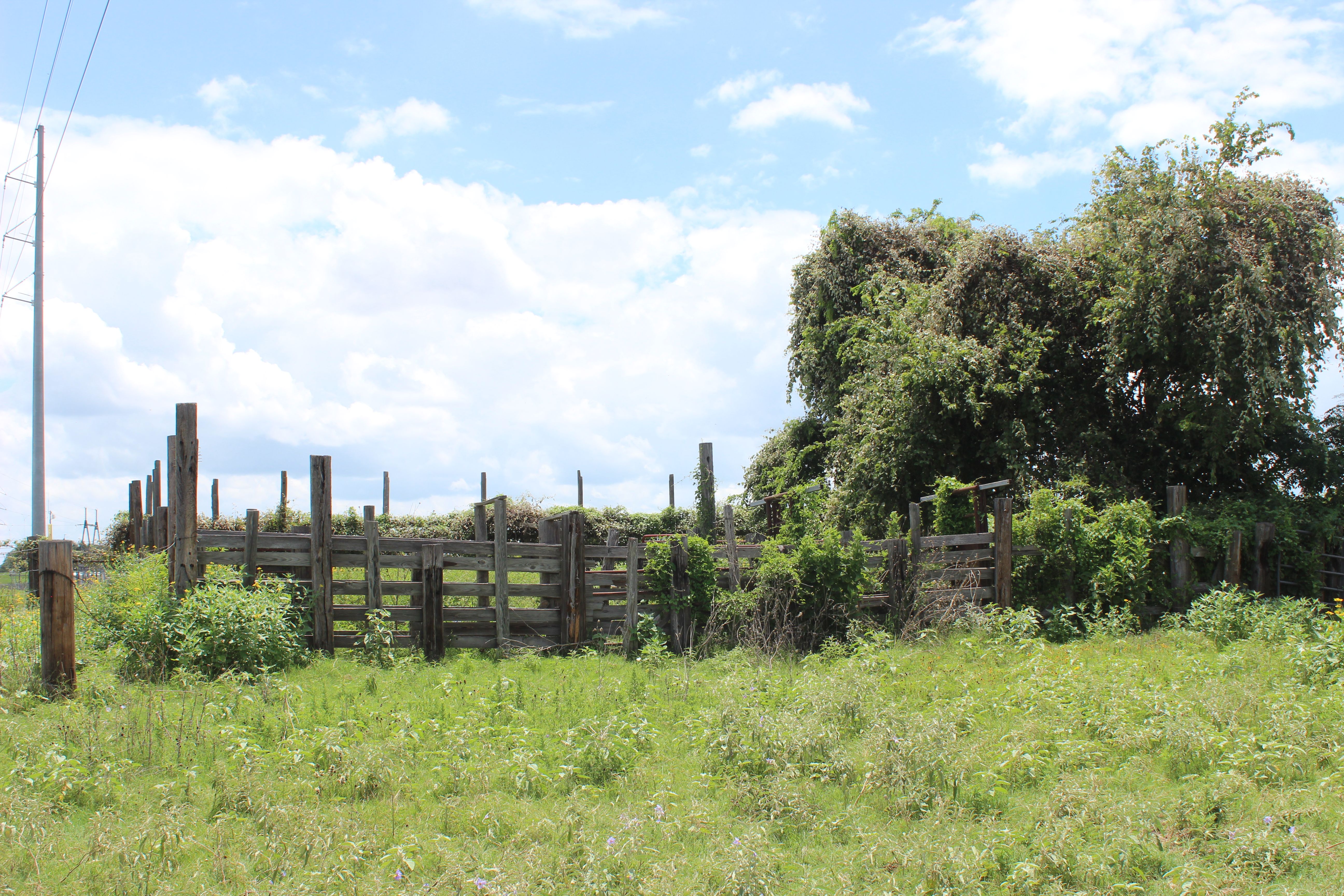  Buck Branch Ranch - 物件實景