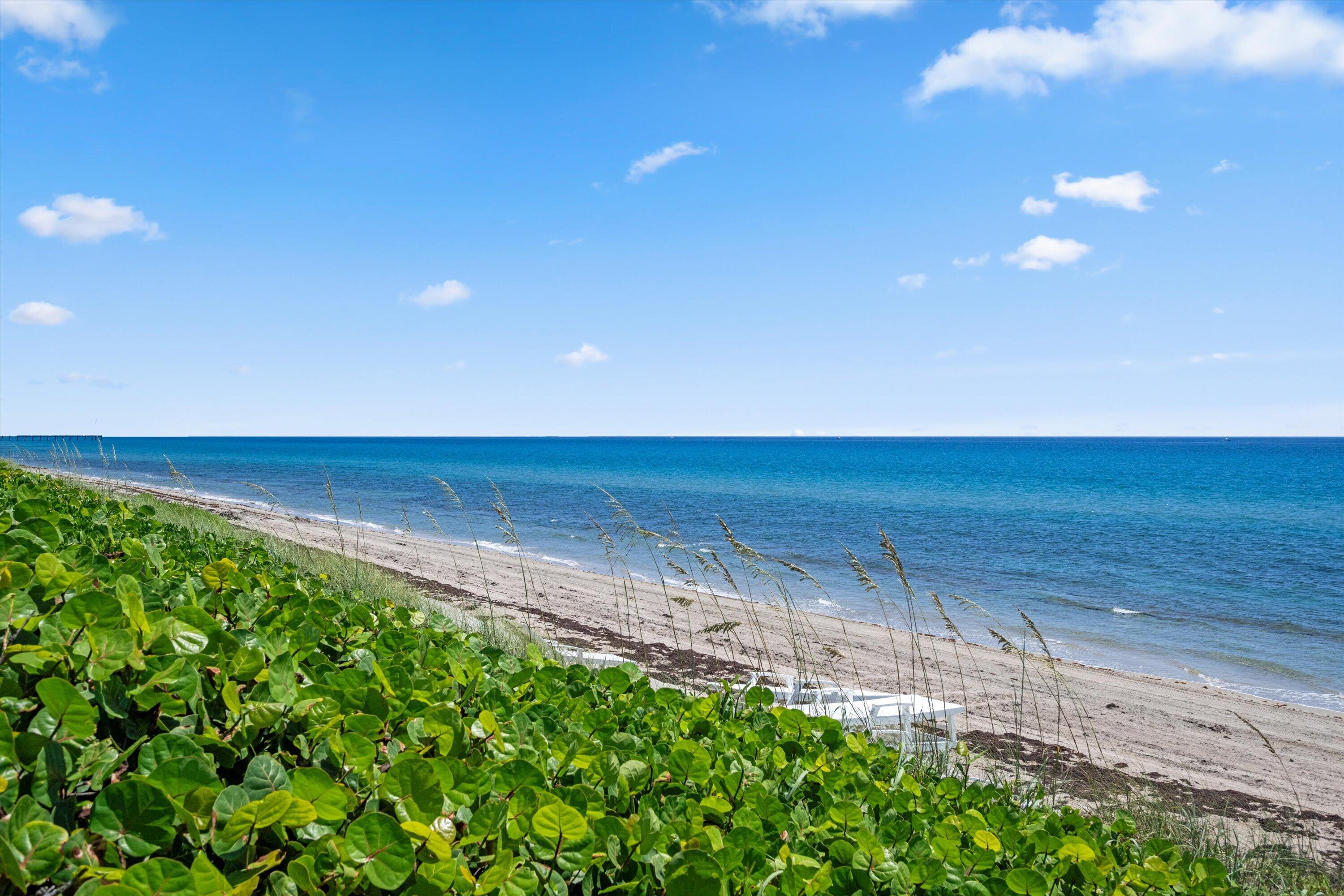  3440 S Ocean Boulevard N #104 - 物件實景