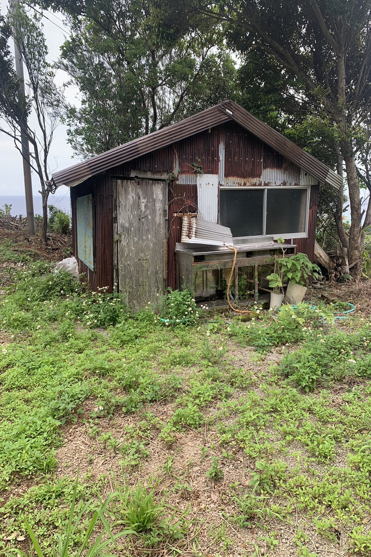  Oshima District, Tatsugo Town, Toguchi, Land - 物件實景