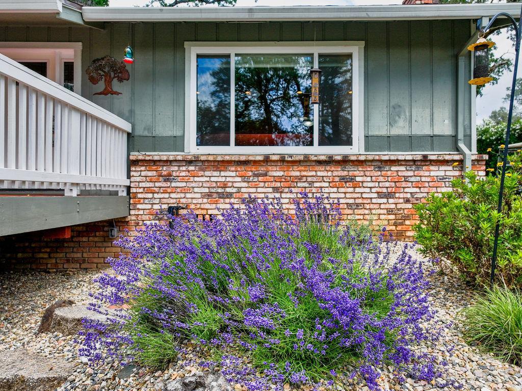 Auburn, California, 95602, United States, 3 Bedrooms Bedrooms, ,2 BathroomsBathrooms,Residential,For Sale,2048014