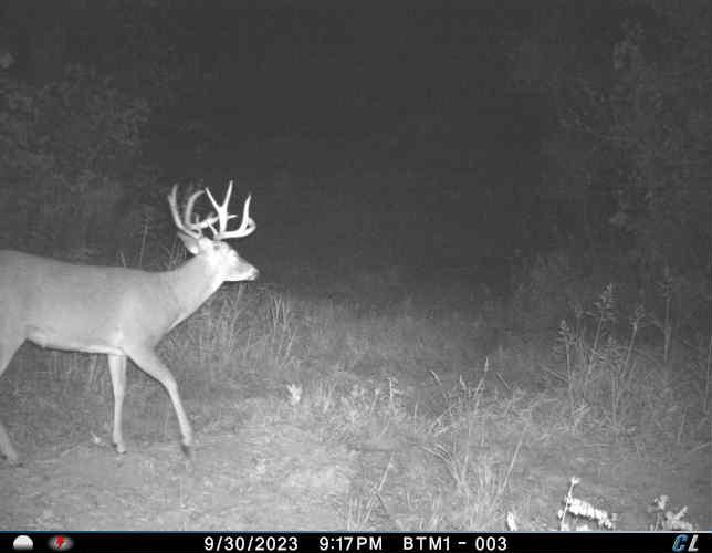 Goldsby, Oklahoma, 73093, United States, ,Land,For Sale,1976317