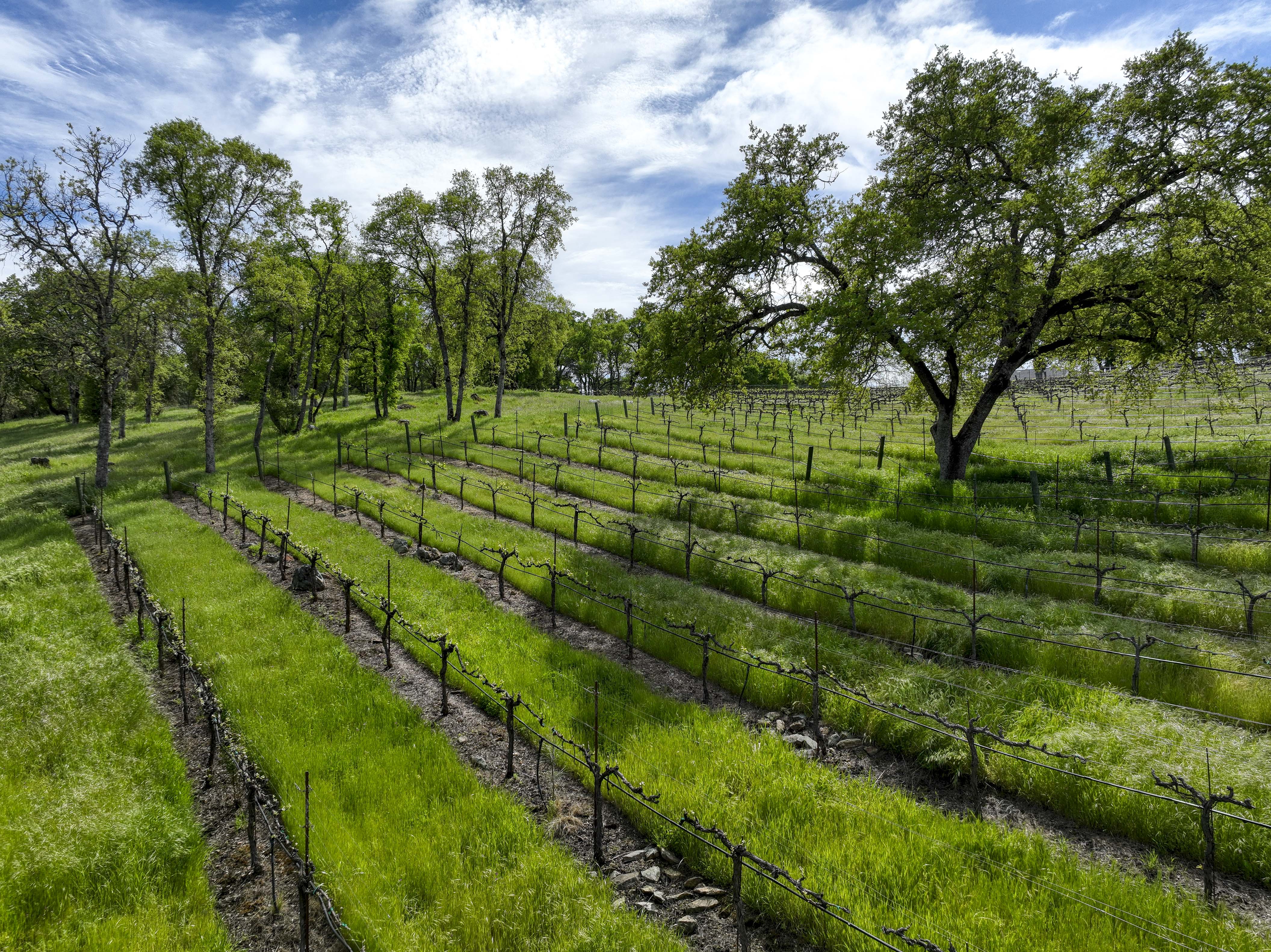  2020 Kaila Way, El Dorado Hills, CA 95762 - 物件實景