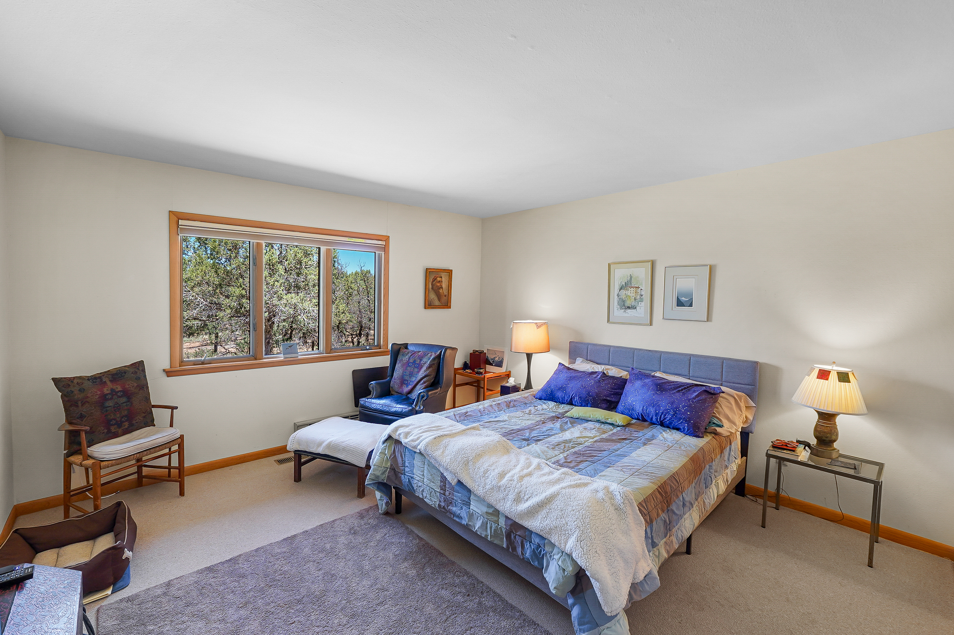  1326 County Road 220, Durango, CO 81303 - 物件實景