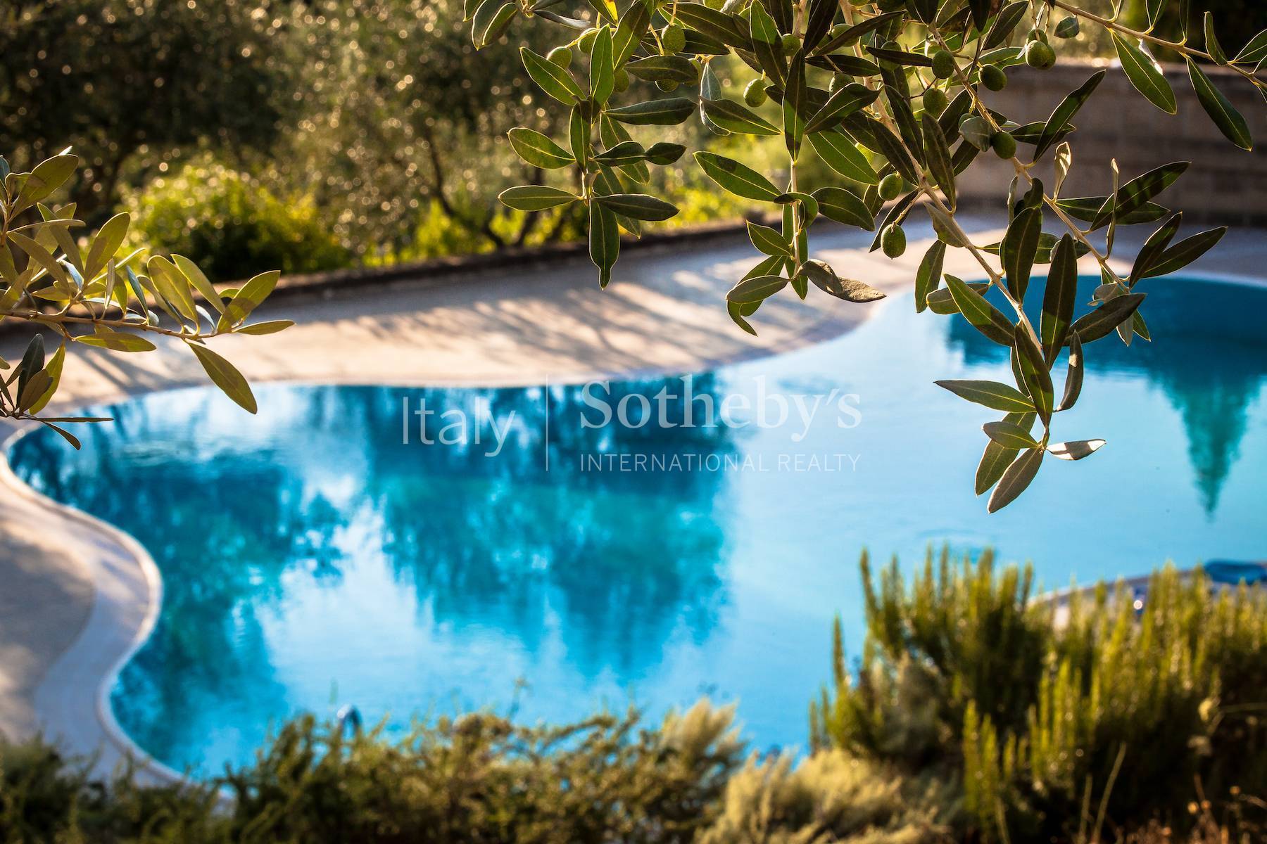  Wine estate with SPA and restaurant facilities - 物件實景