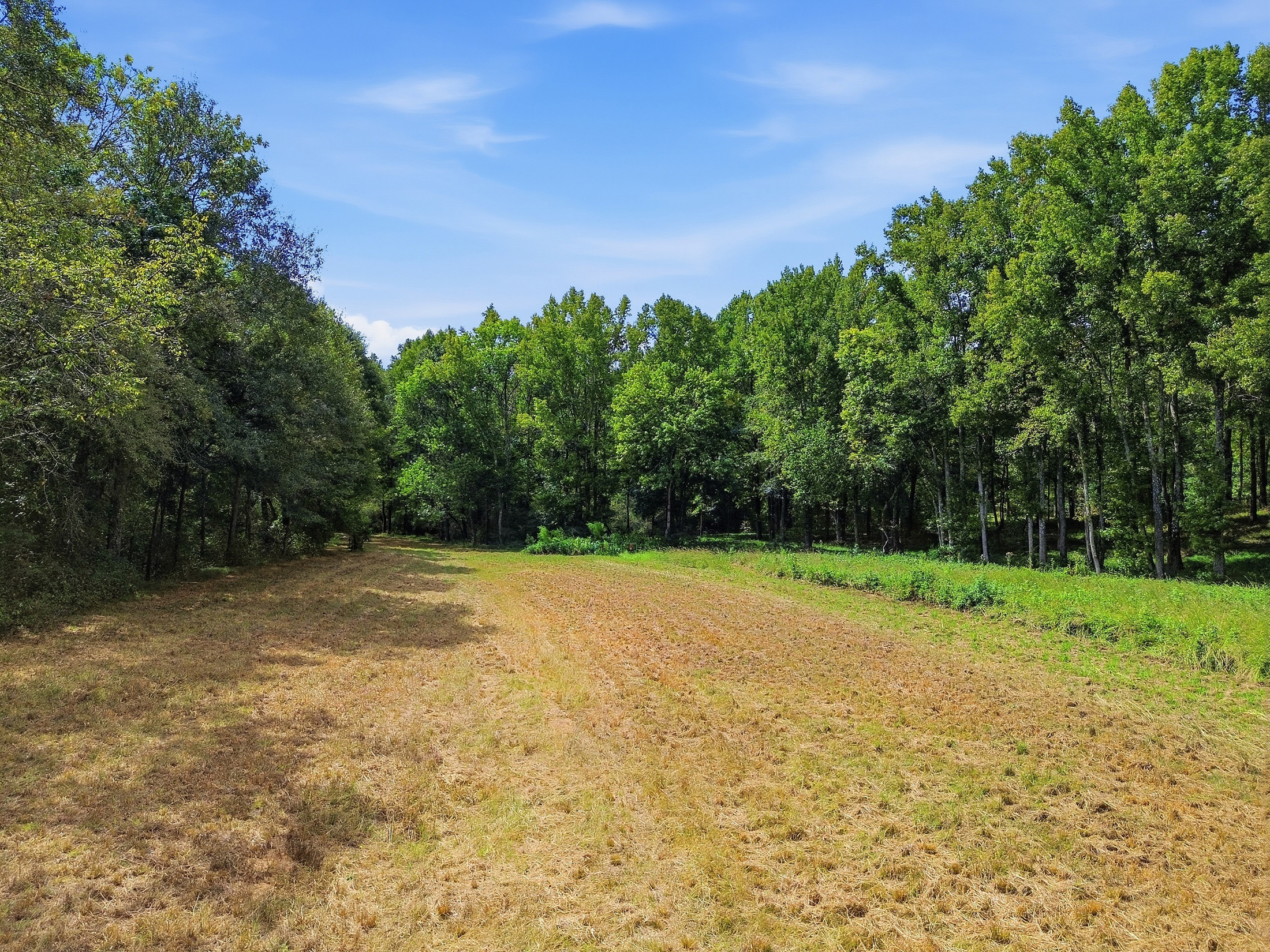  Exquisite 77.5 +/- Acre Private Retreat With Modern Rustic Elegance - 物件實景