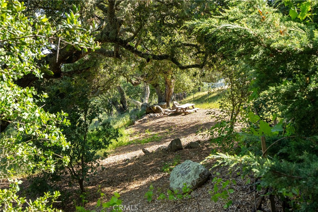 Atascadero, California, 93422, United States, 4 Bedrooms Bedrooms, ,4 BathroomsBathrooms,Residential,For Sale,1982581