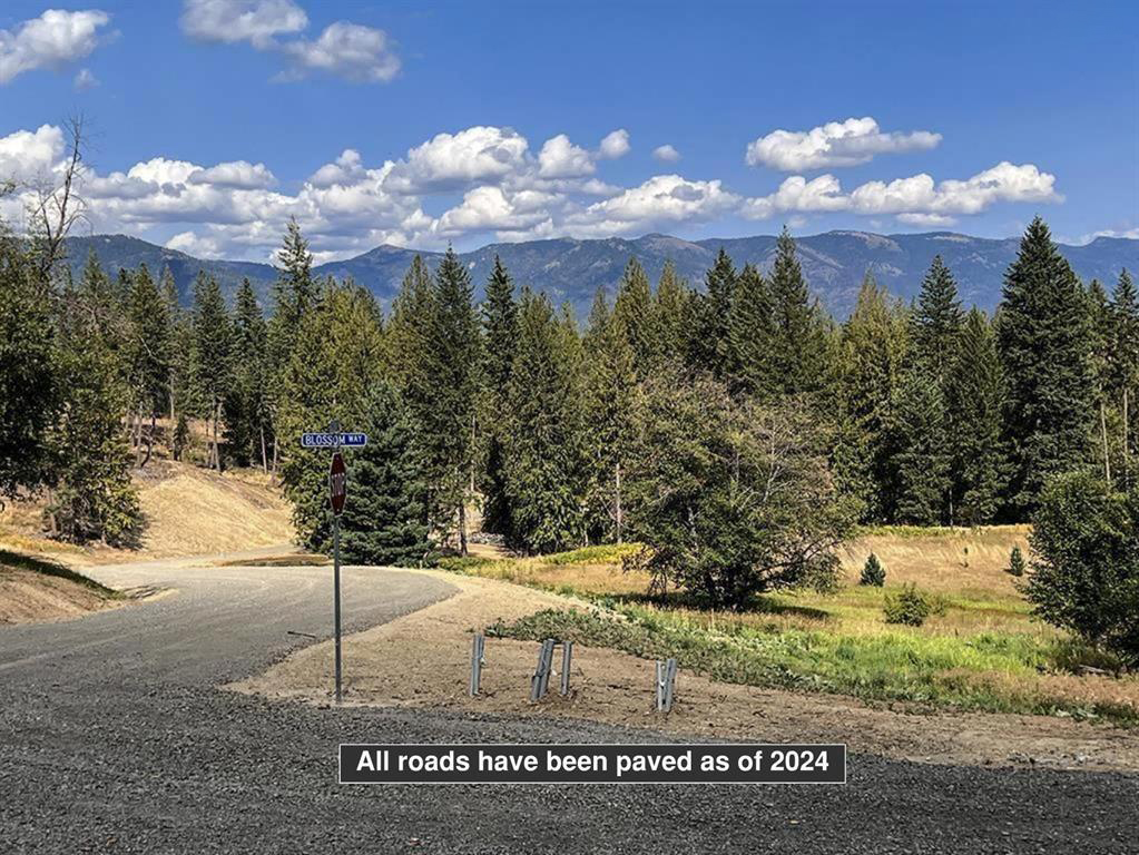 Sagle, Idaho, 83860, United States, ,Land,For Sale,1980438