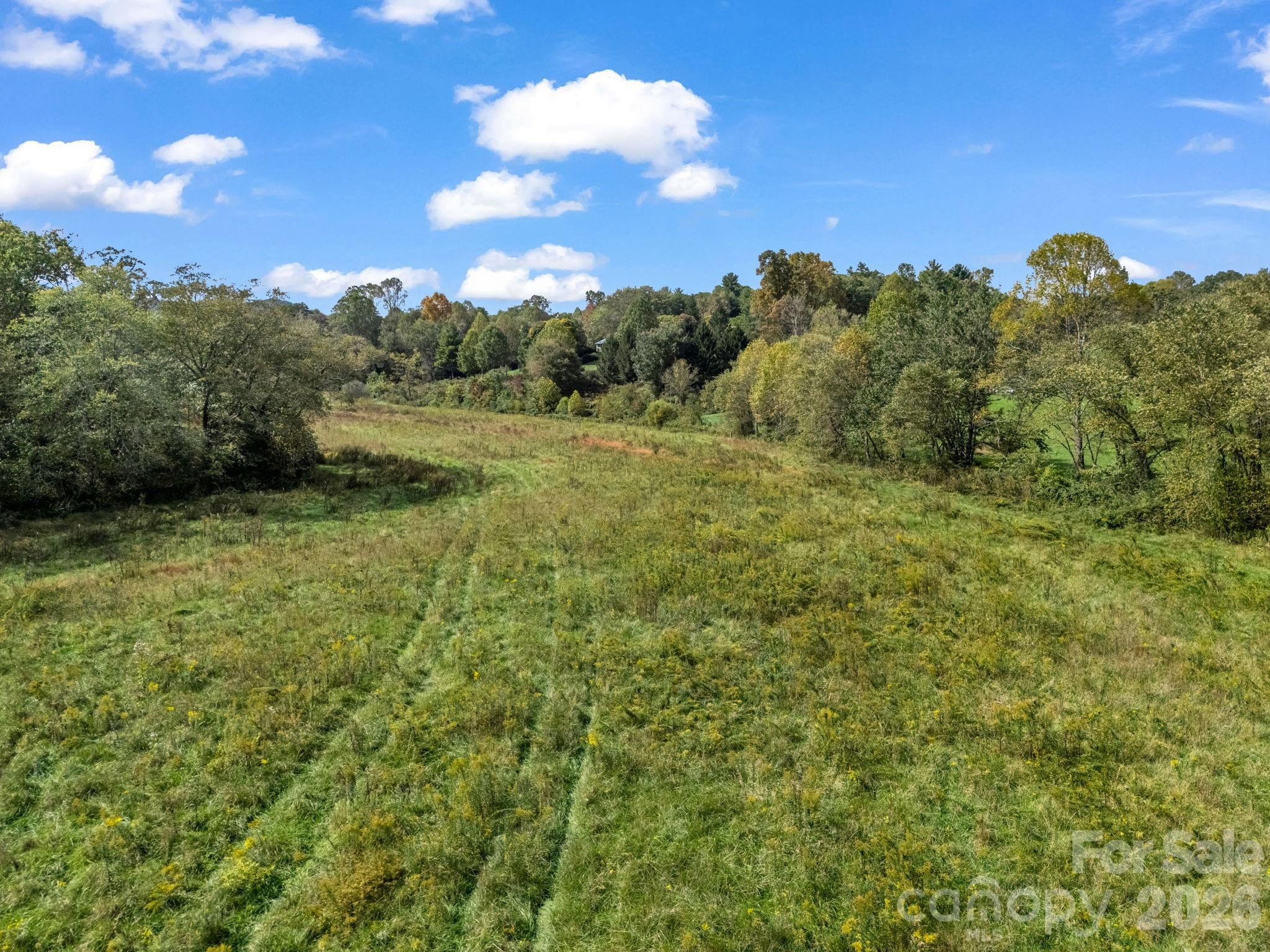 Mills River, North Carolina, 28759, United States, ,Land,For Sale,1975215